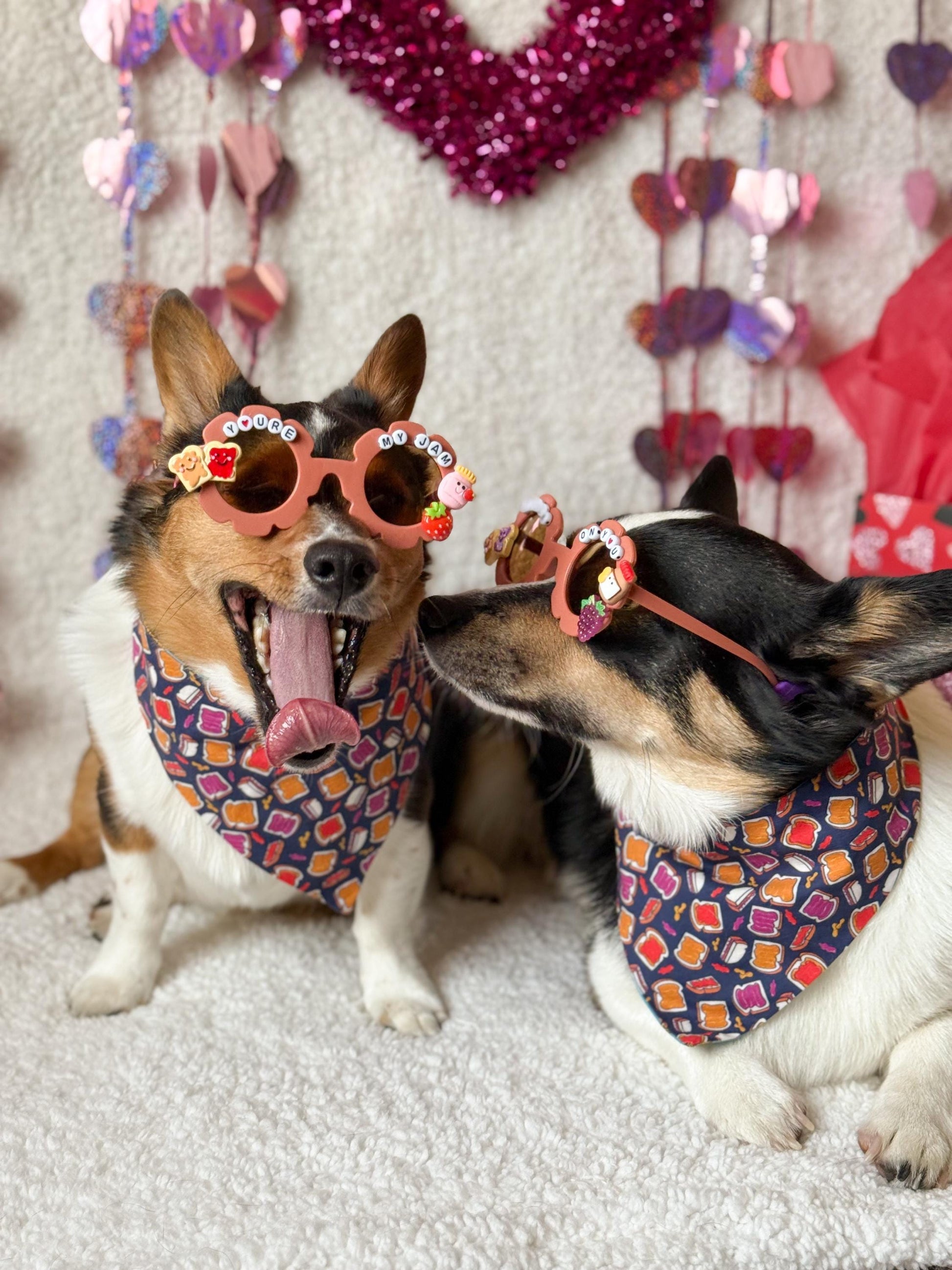 Peanut butter and Jelly Pet Sunglasses- 2 styles
