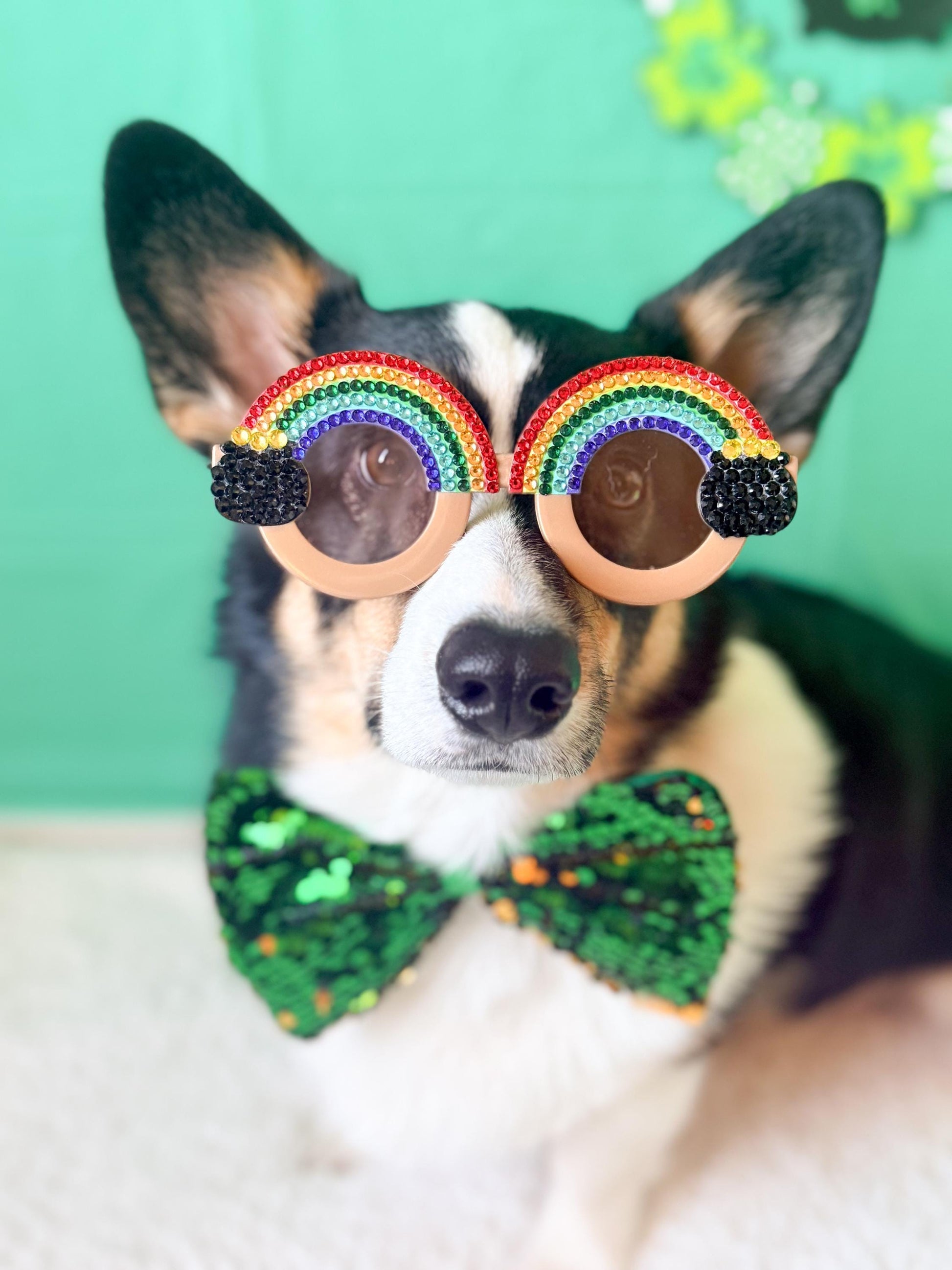 Pot O Gold Rainbow Dog Sunglasses