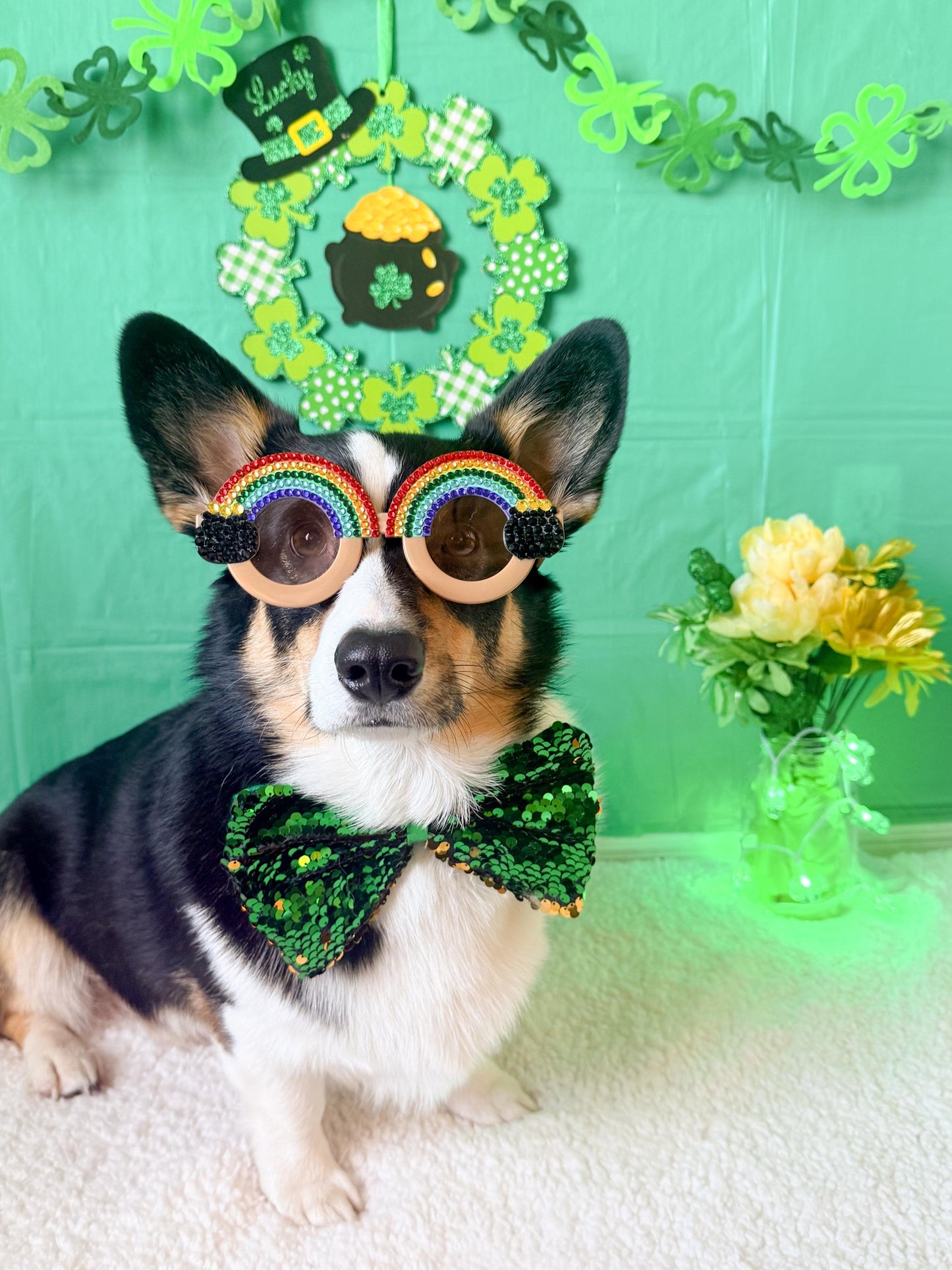 Pot O Gold Rainbow Dog Sunglasses