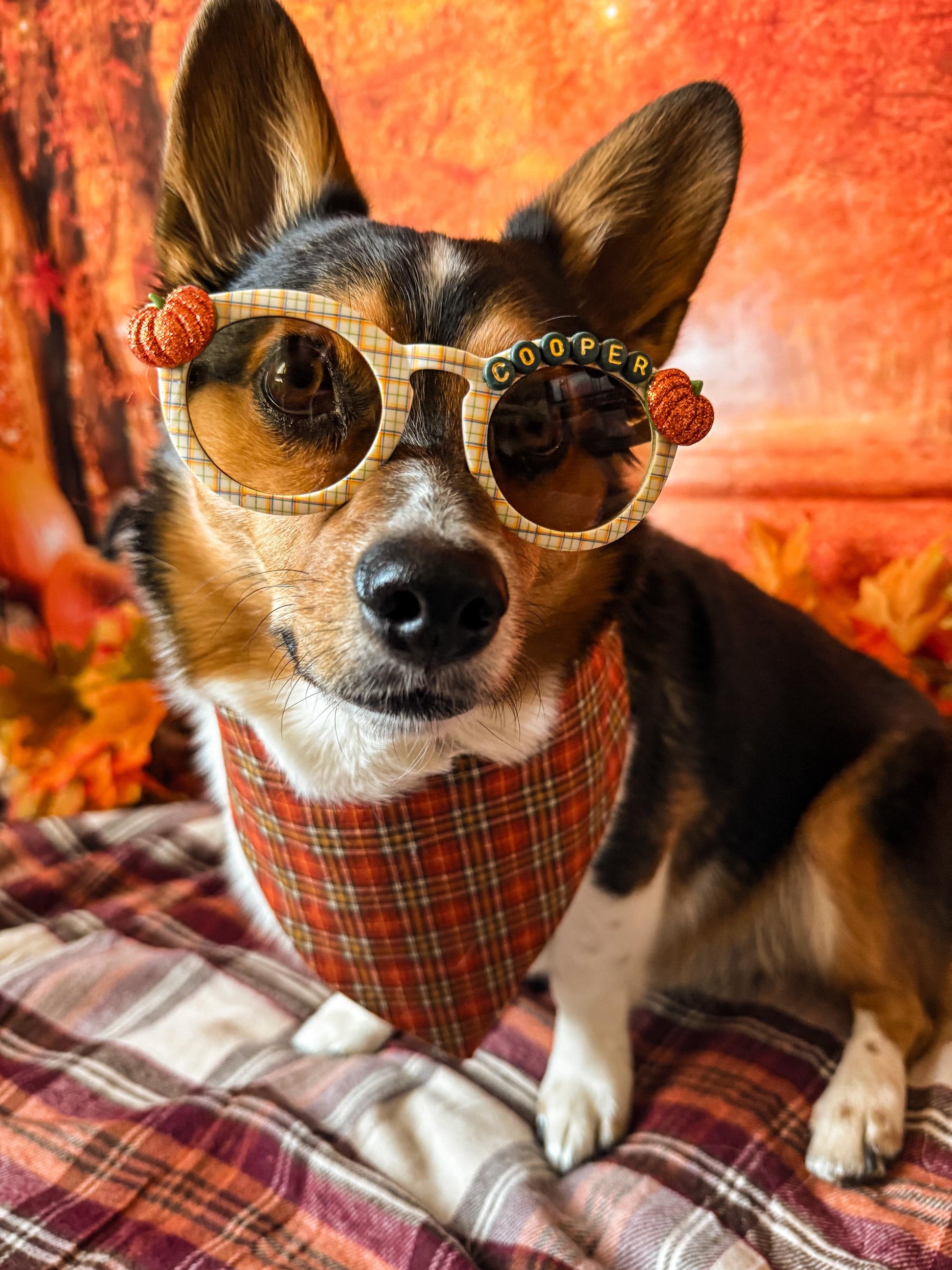 Pumpkin Plaid Sunglasses