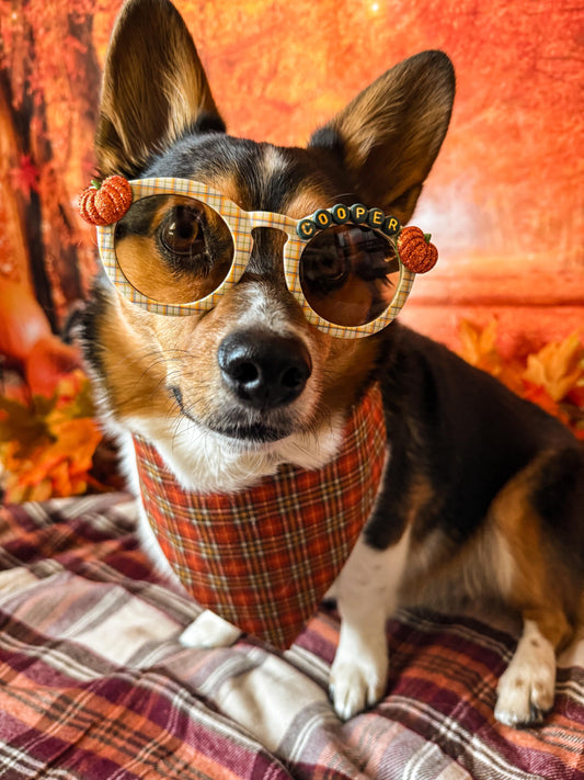 Pumpkin Plaid Sunglasses