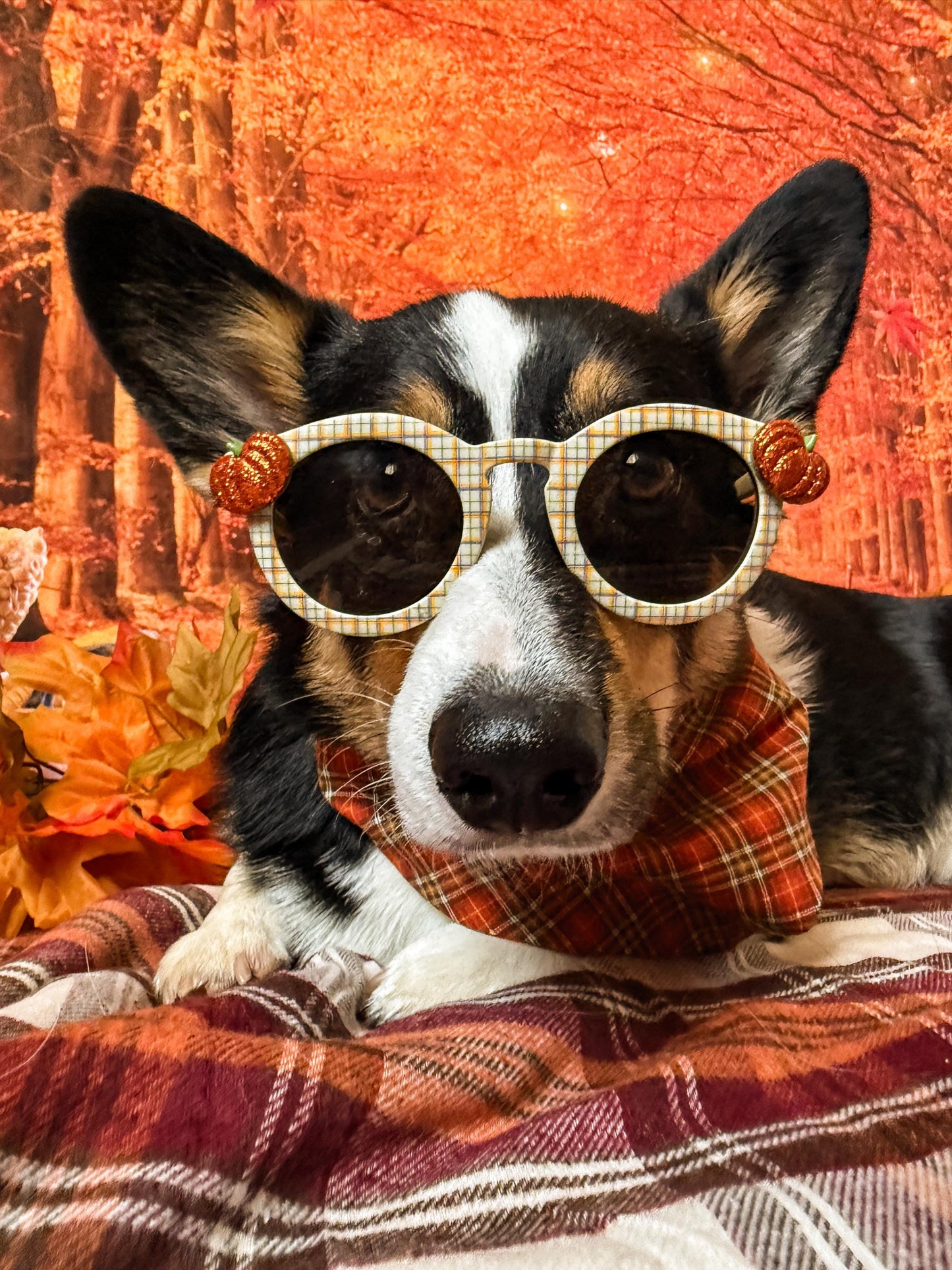 Pumpkin Plaid Sunglasses