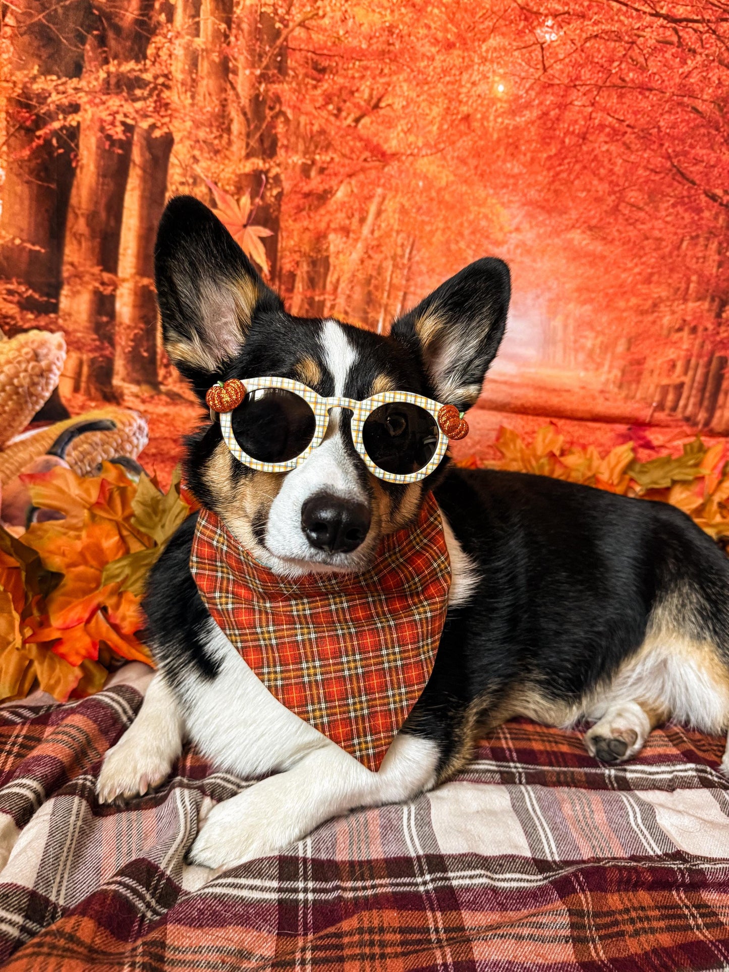 Pumpkin Plaid Sunglasses
