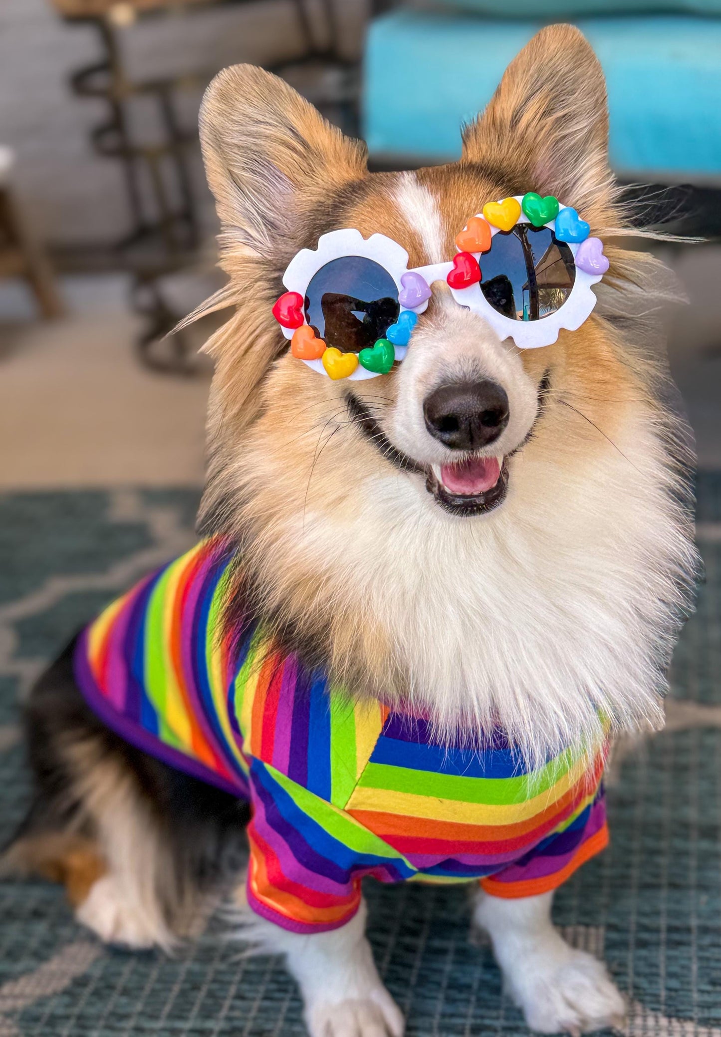 Rainbow Promise Sunglasses