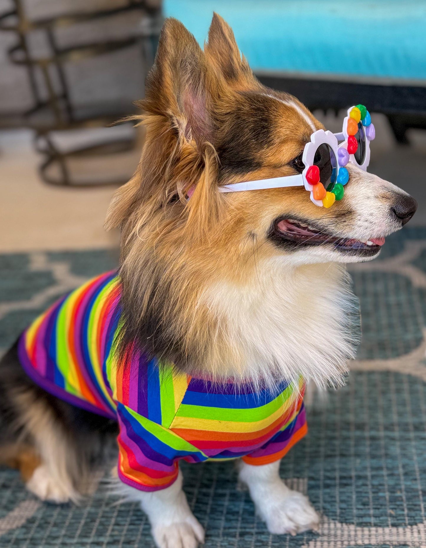Rainbow Promise Sunglasses