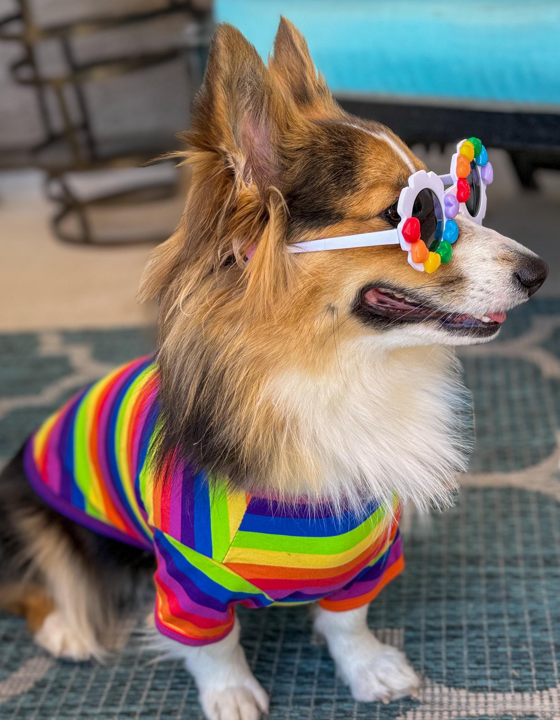 Rainbow Promise Sunglasses