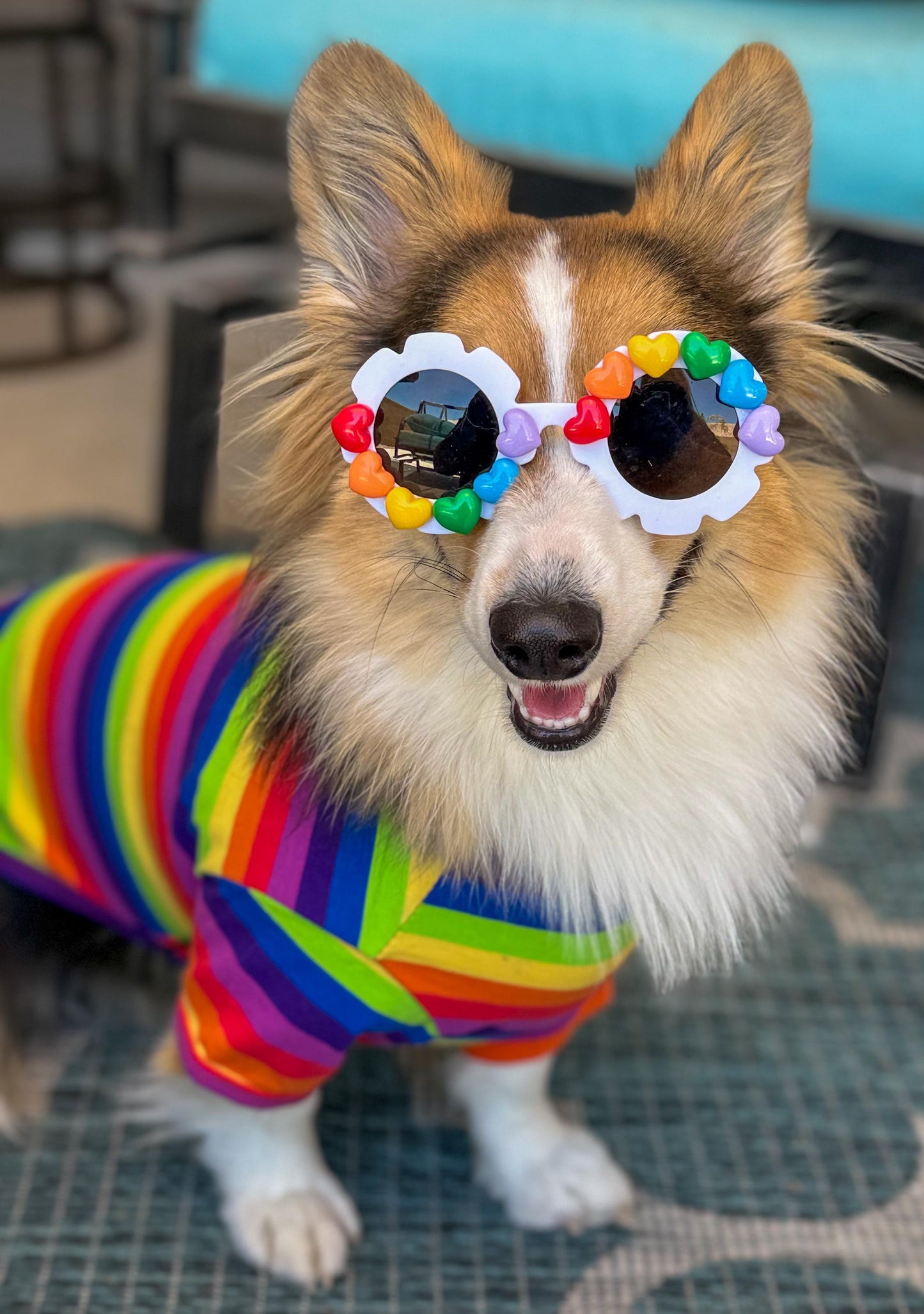 Rainbow Promise Sunglasses