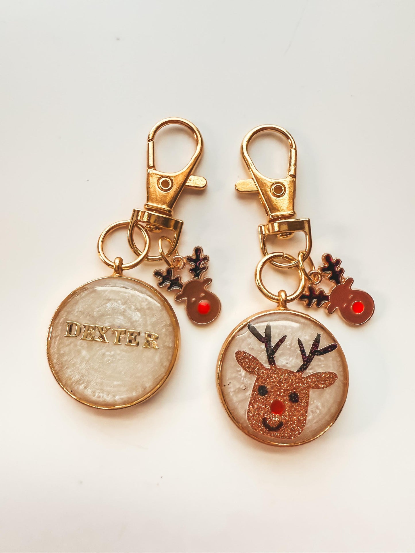 Reindeer Pet Tag