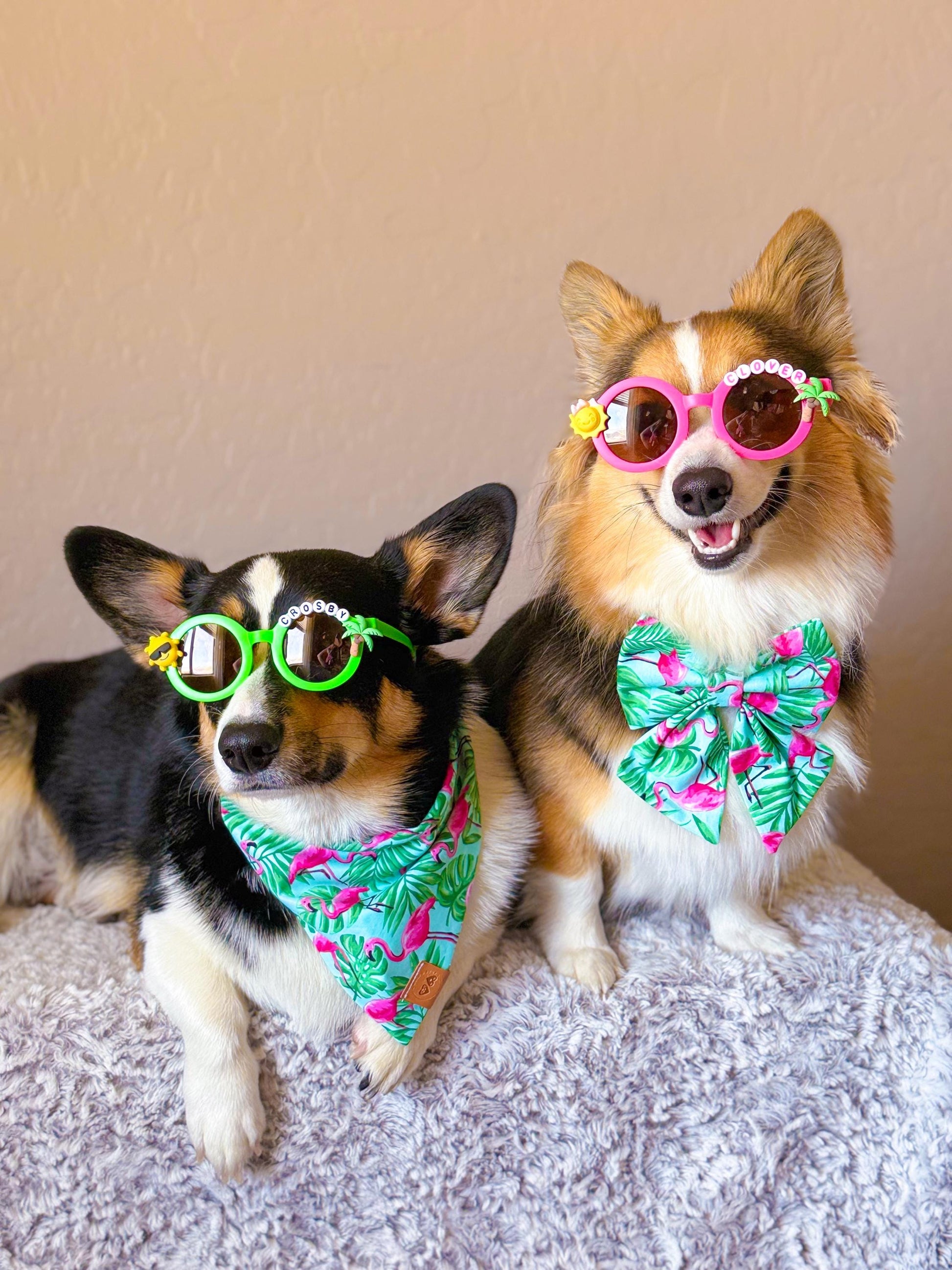 SUMMER SQUAD SHADES