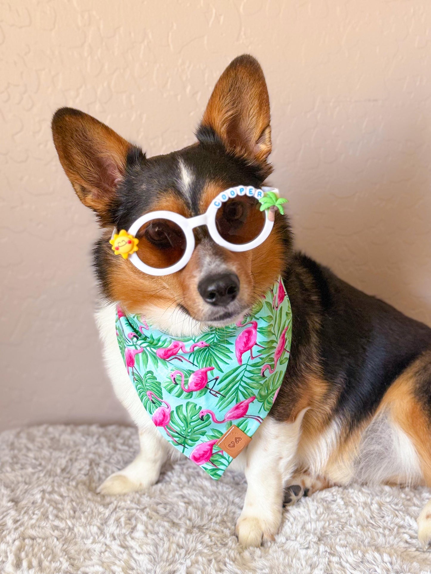 SUMMER SQUAD SHADES