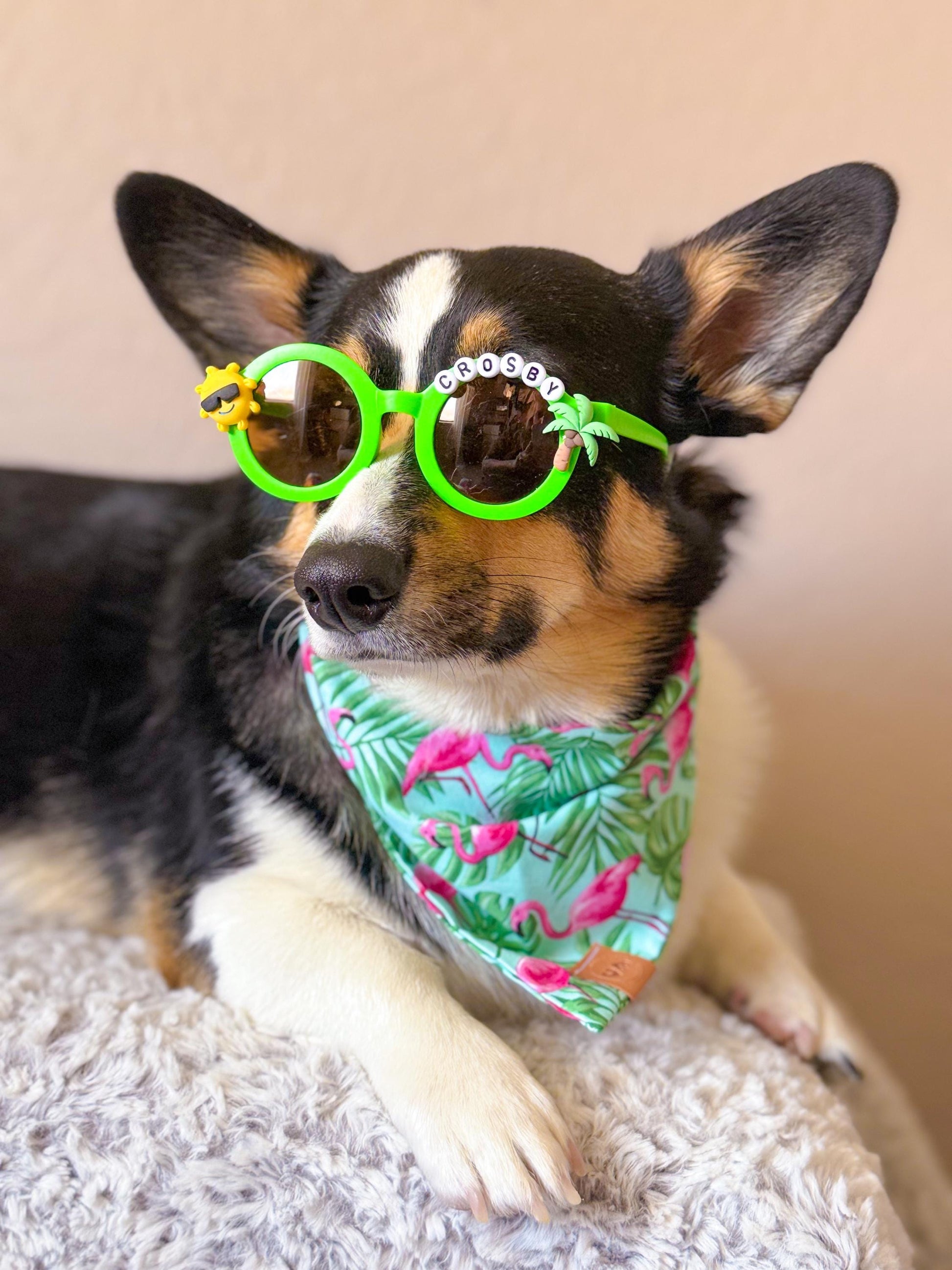 SUMMER SQUAD SHADES