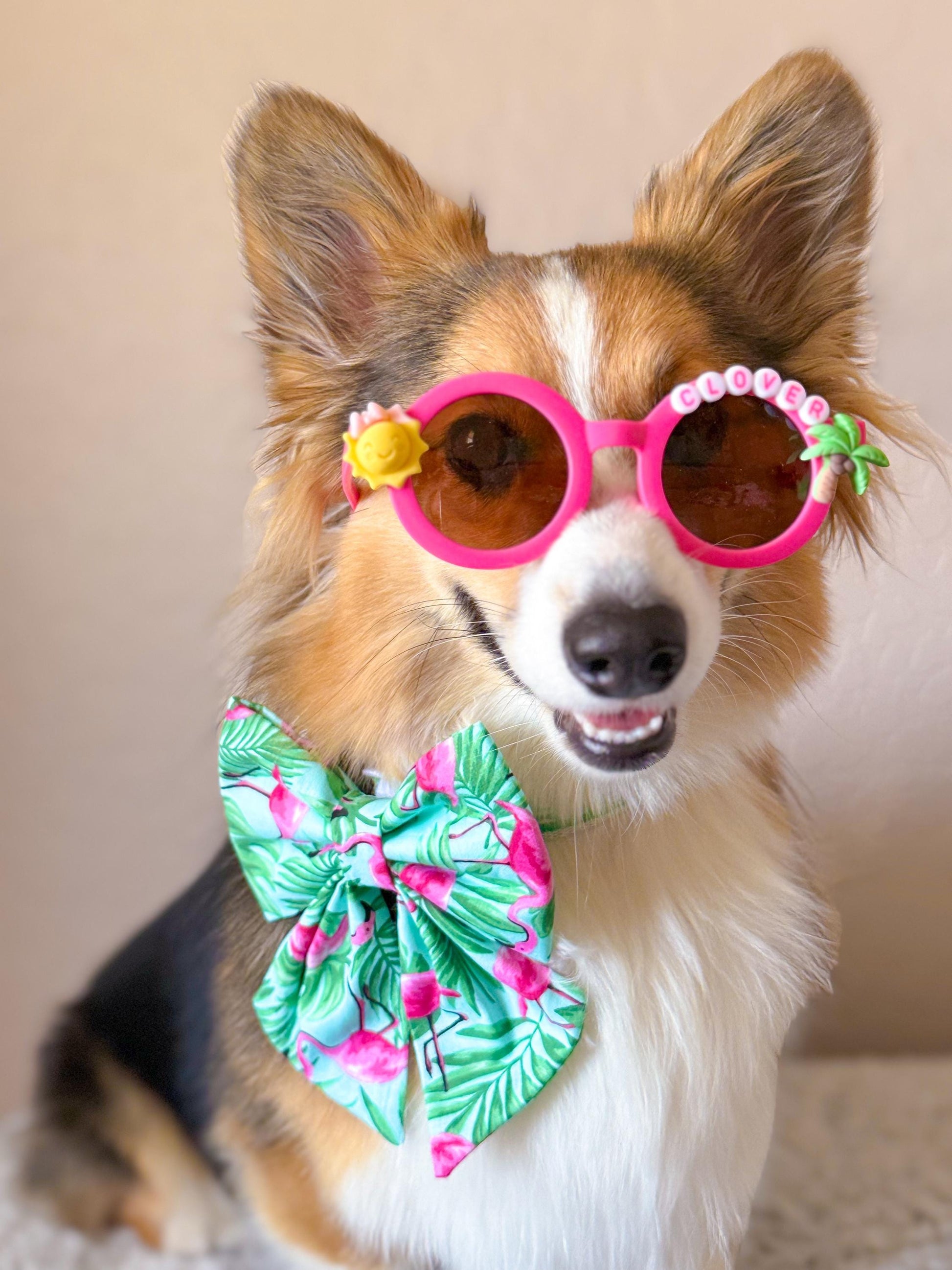 SUMMER SQUAD SHADES