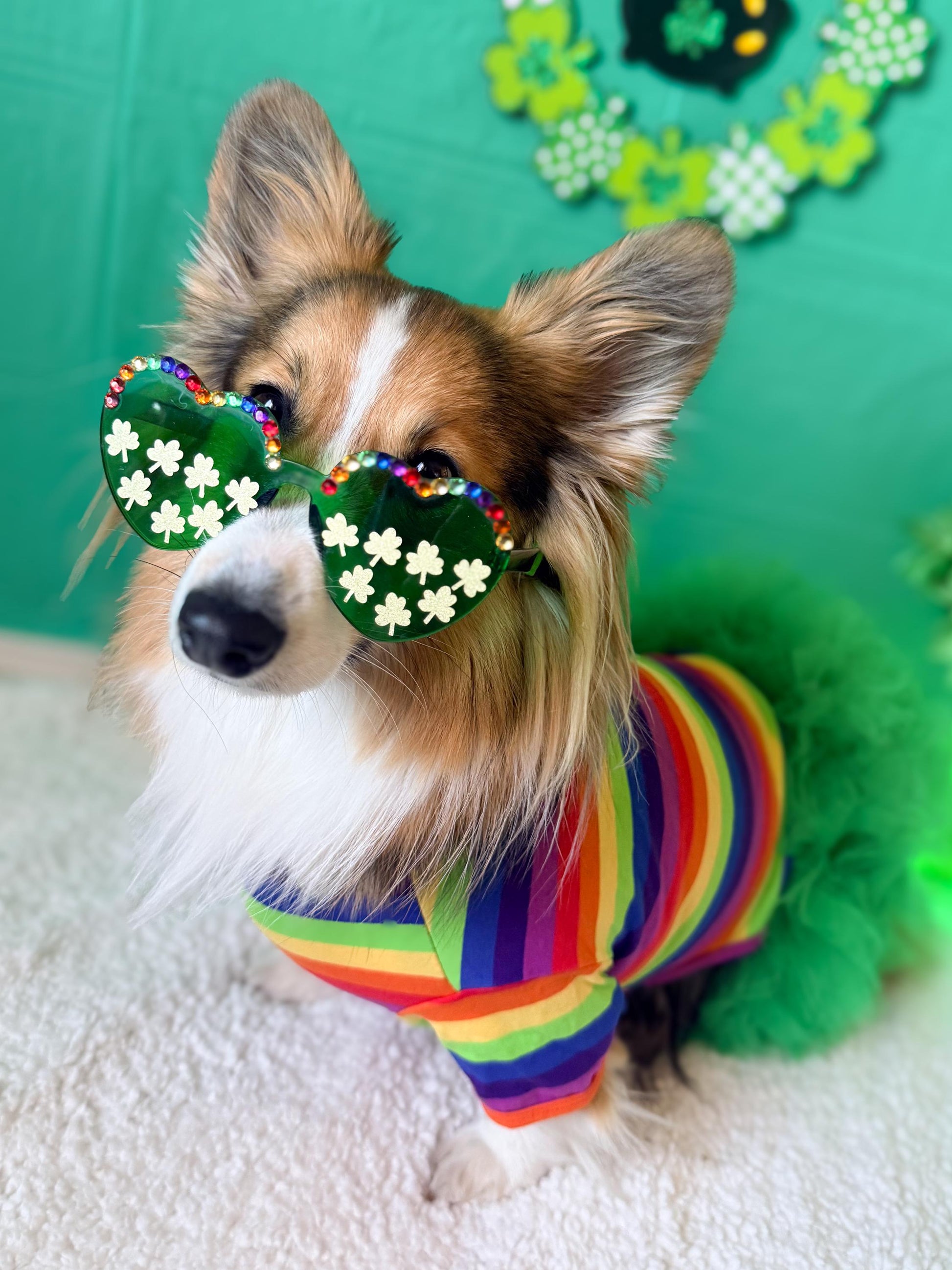 Shamrock Sparkle Heart Dog Sunglasses
