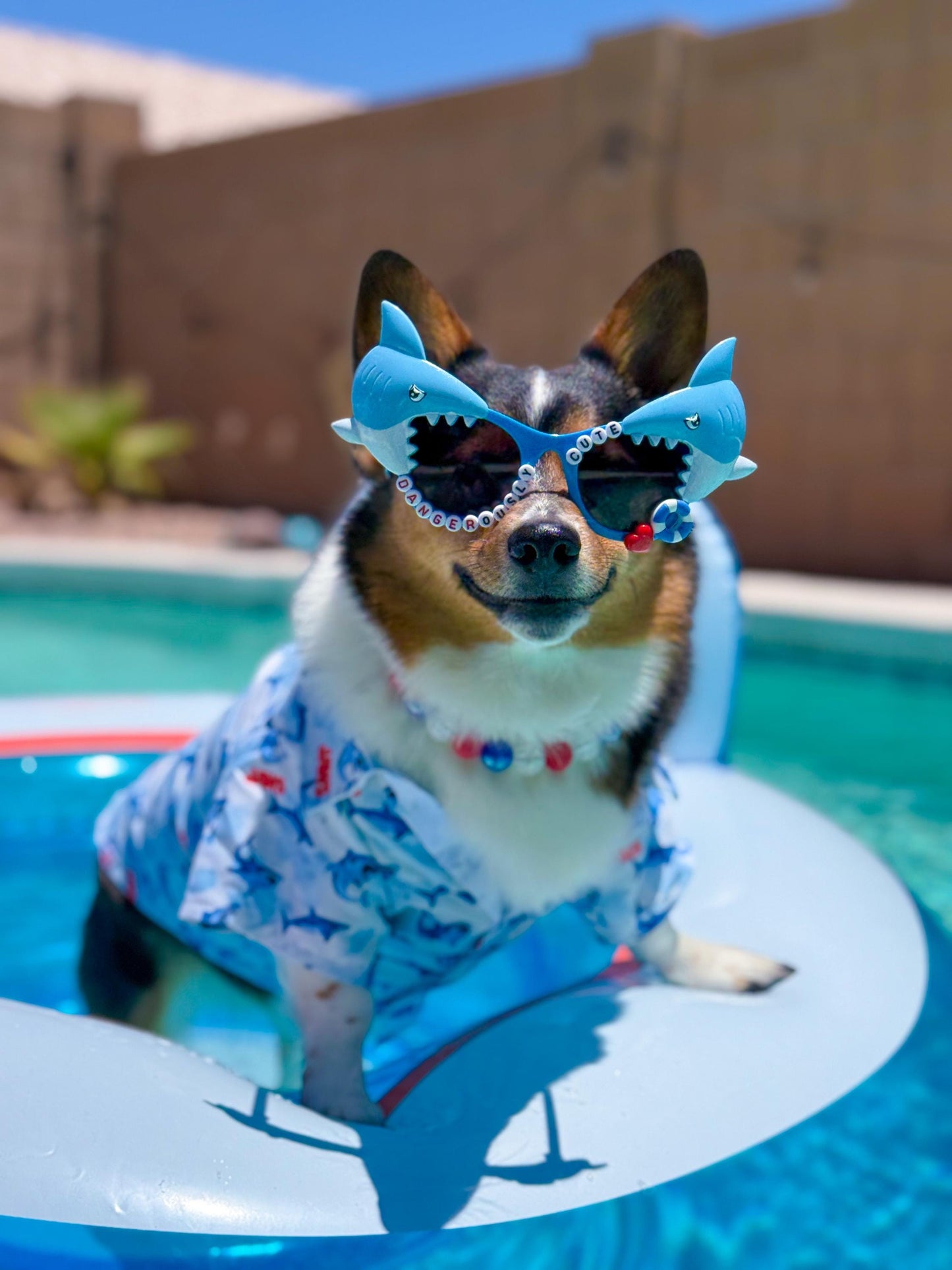 Shark Week Dog Sunglasses