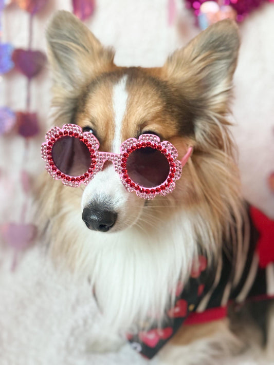 Sparkle Sweetheart Pet Sunglasses