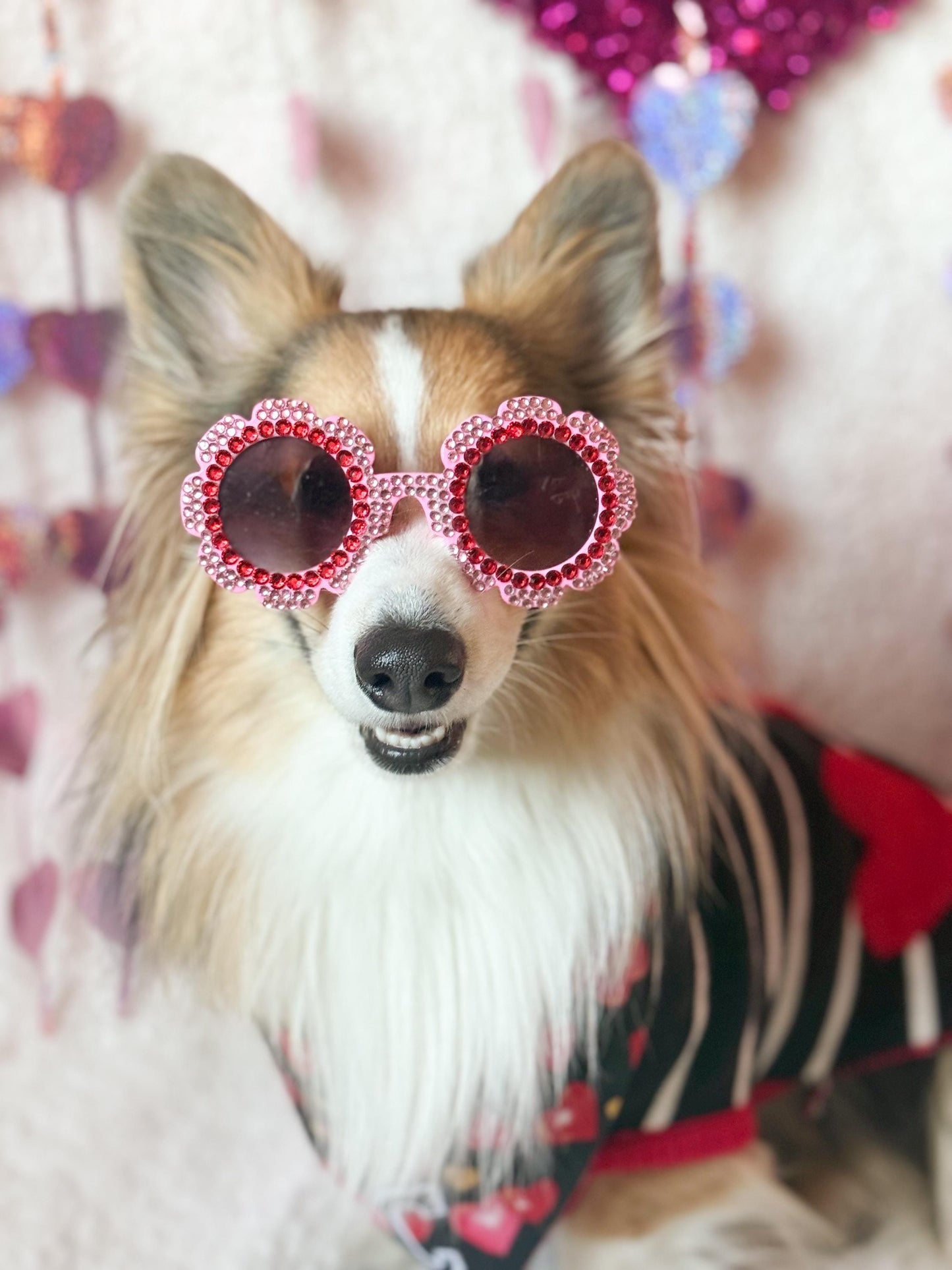 Sparkle Sweetheart Pet Sunglasses