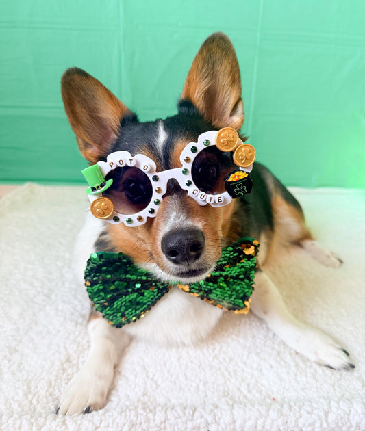 St. Patrick's Day Dog Sunglasses: Pot O Gold, Shamrock Details, Festive Pet Accessory