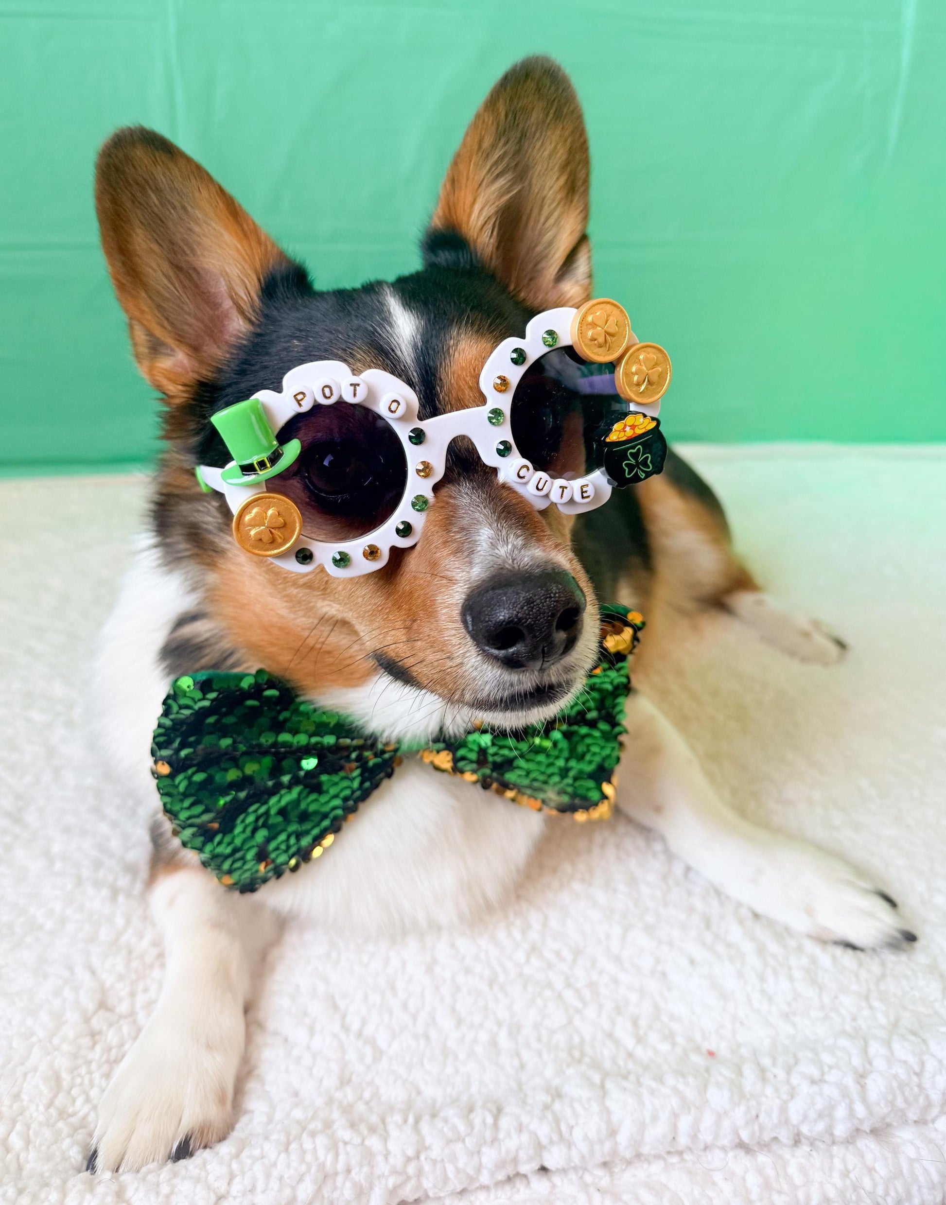 St. Patrick's Day Dog Sunglasses: Pot O Gold, Shamrock Details, Festive Pet Accessory