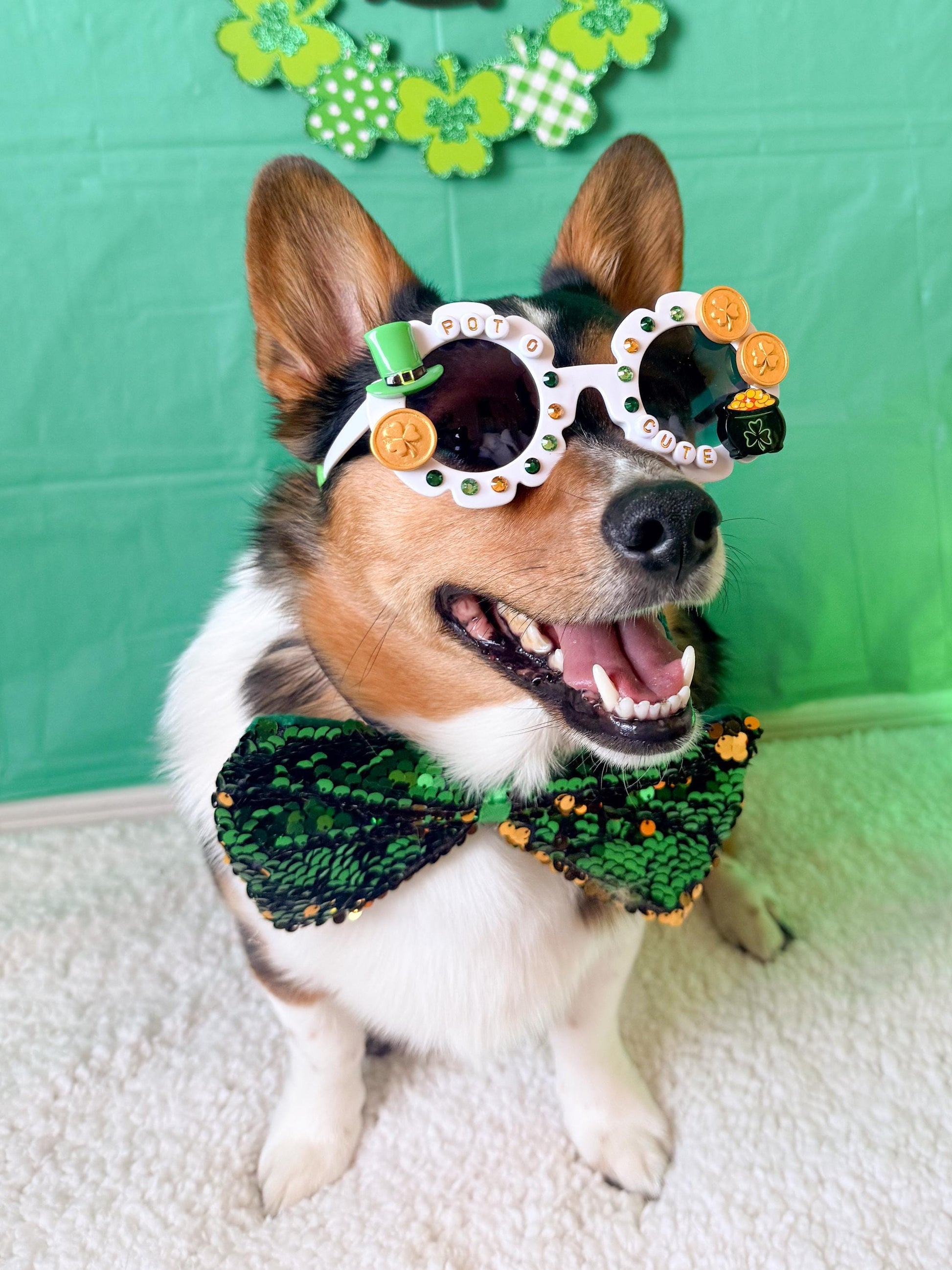 St. Patrick's Day Dog Sunglasses: Pot O Gold, Shamrock Details, Festive Pet Accessory