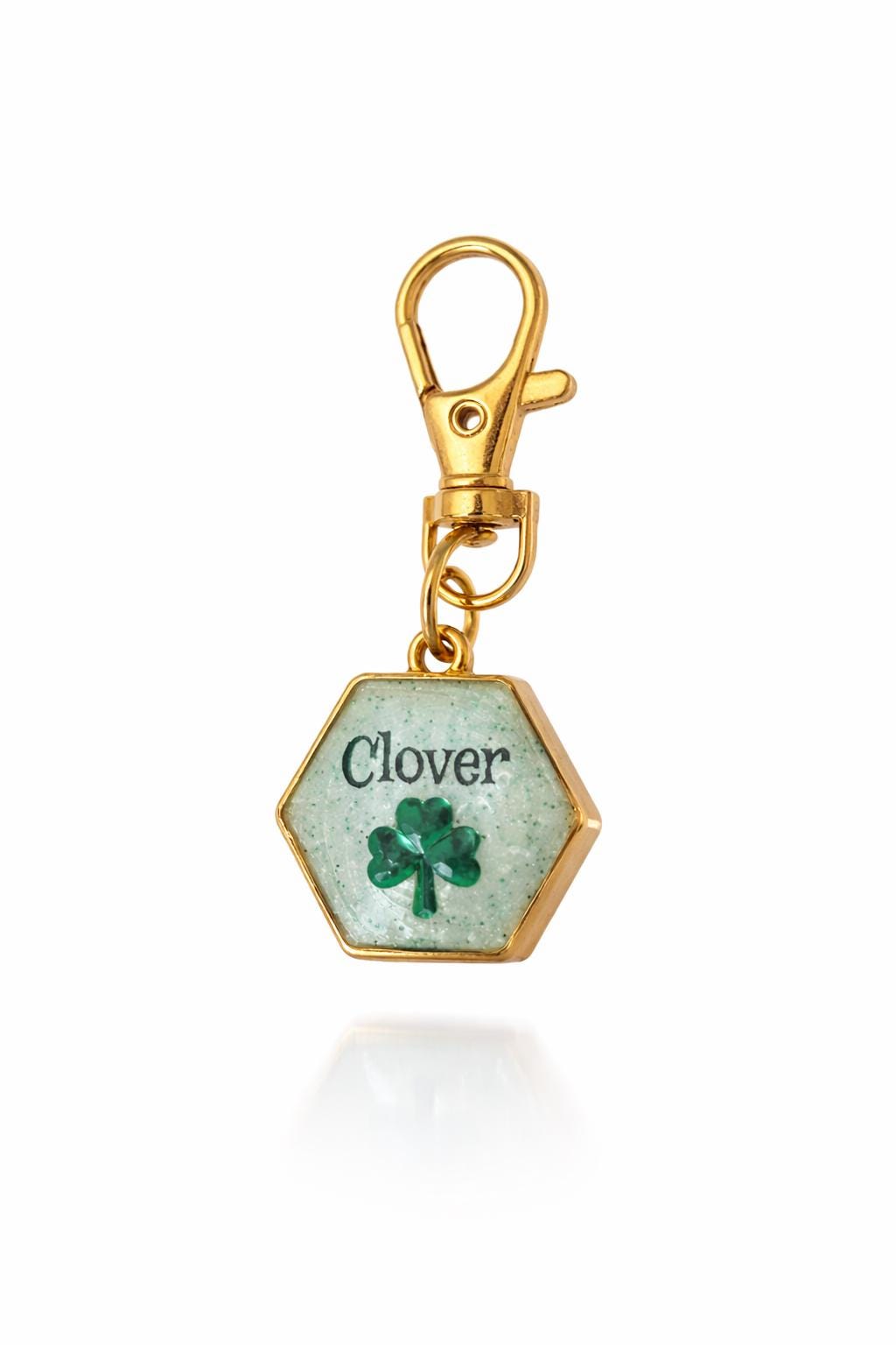 St Patrick’s Day-Pet Tag