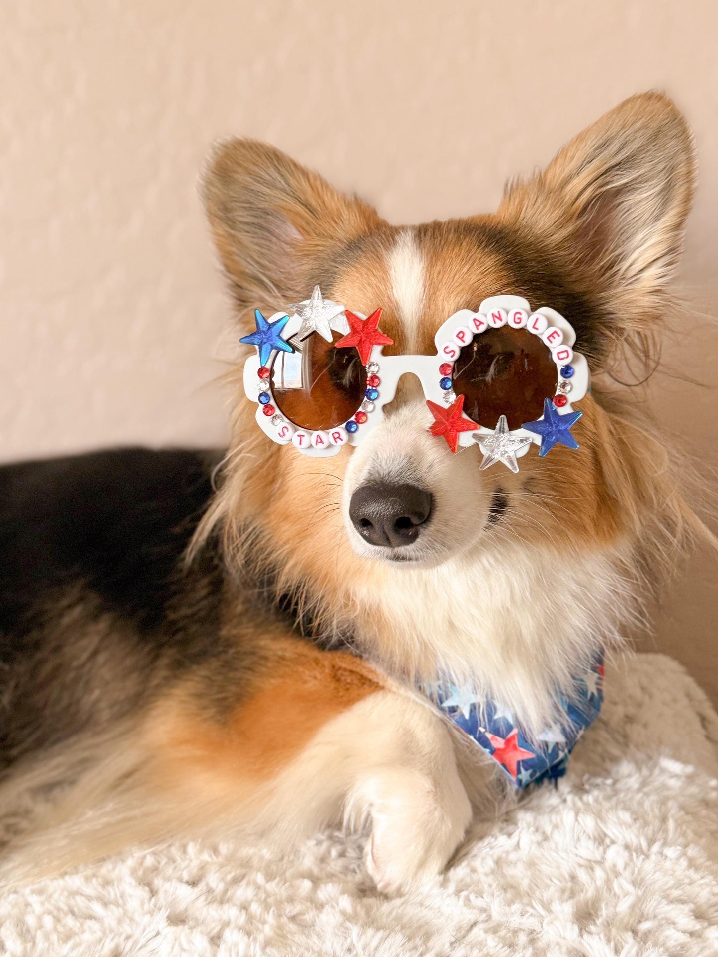Star Spangled Pup Dog Sunglasses – Patriotic 4th of July Dog Shades