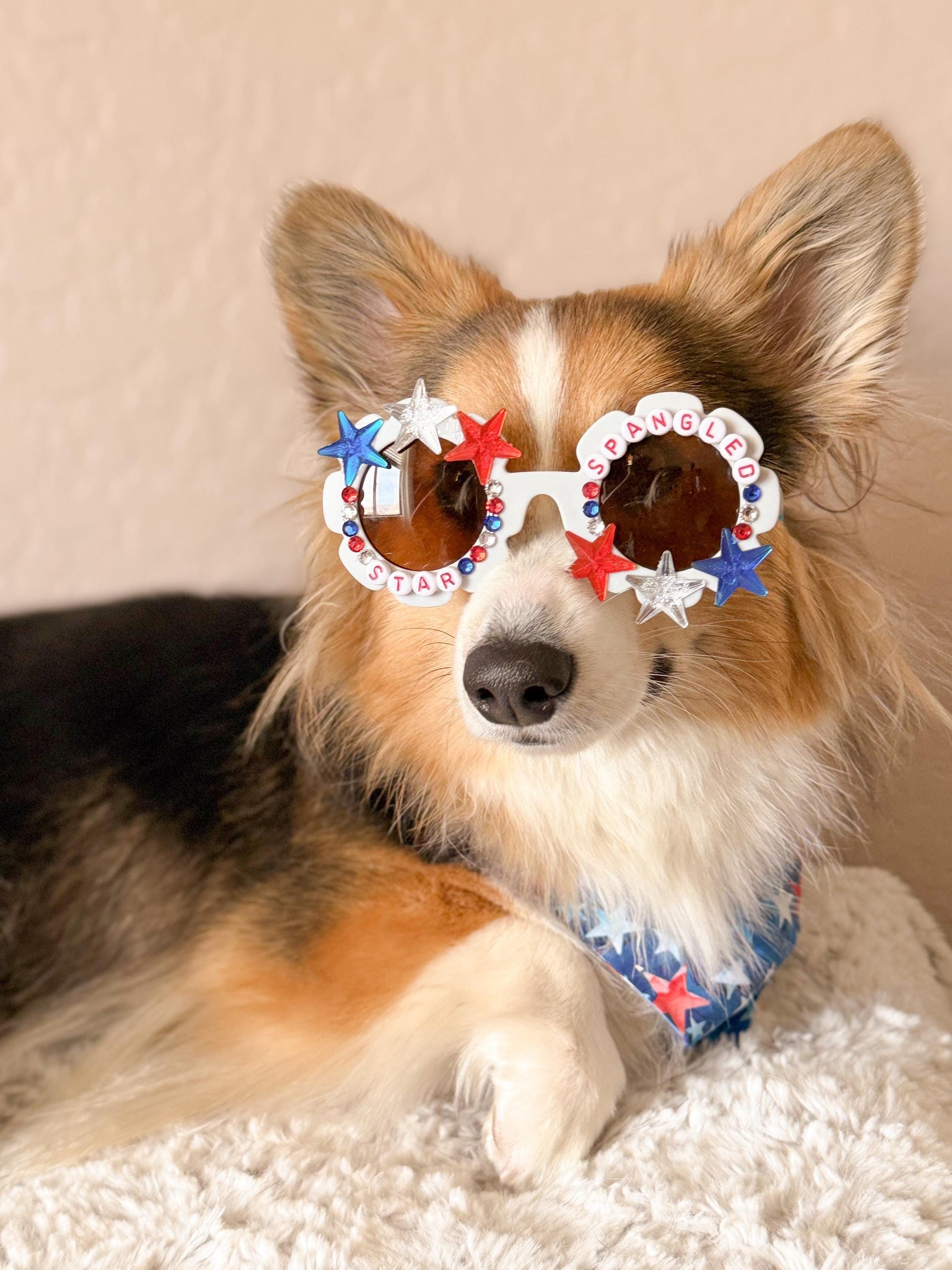 Star Spangled Pup Dog Sunglasses – Patriotic 4th of July Dog Shades