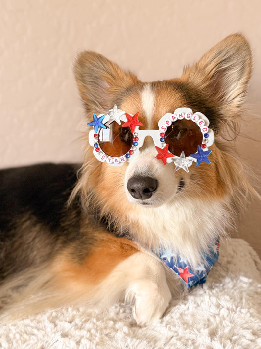 Star Spangled Pup Dog Sunglasses – Patriotic 4th of July Dog Shades