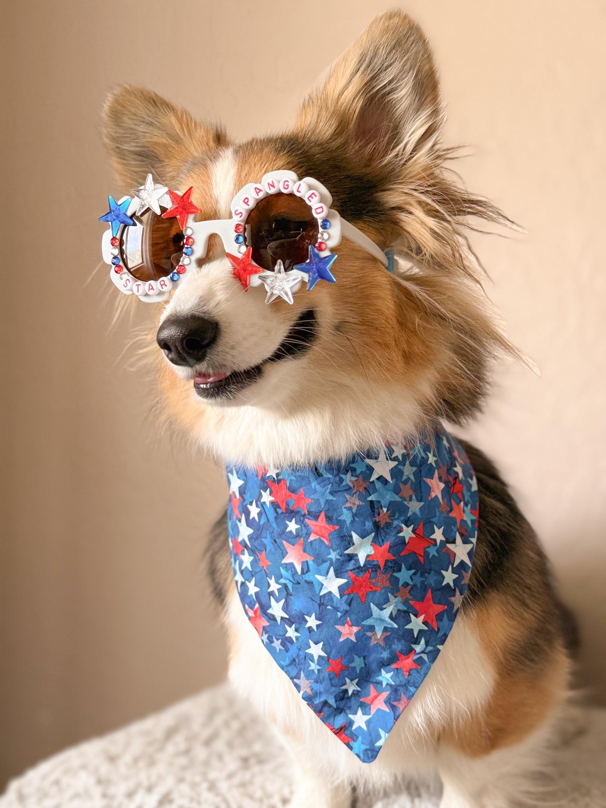 Star Spangled Pup Dog Sunglasses – Patriotic 4th of July Dog Shades