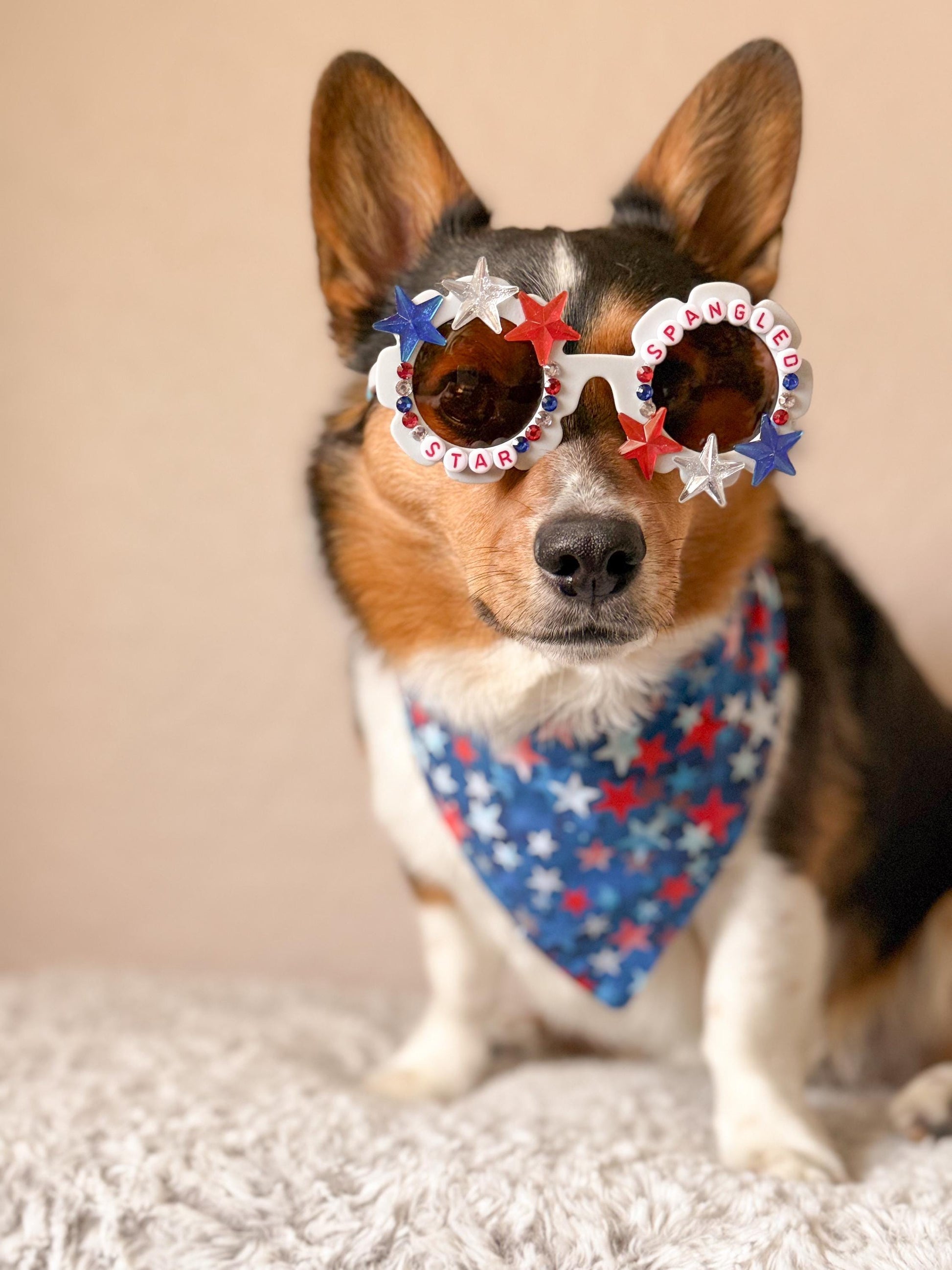 Star Spangled Pup Dog Sunglasses – Patriotic 4th of July Dog Shades