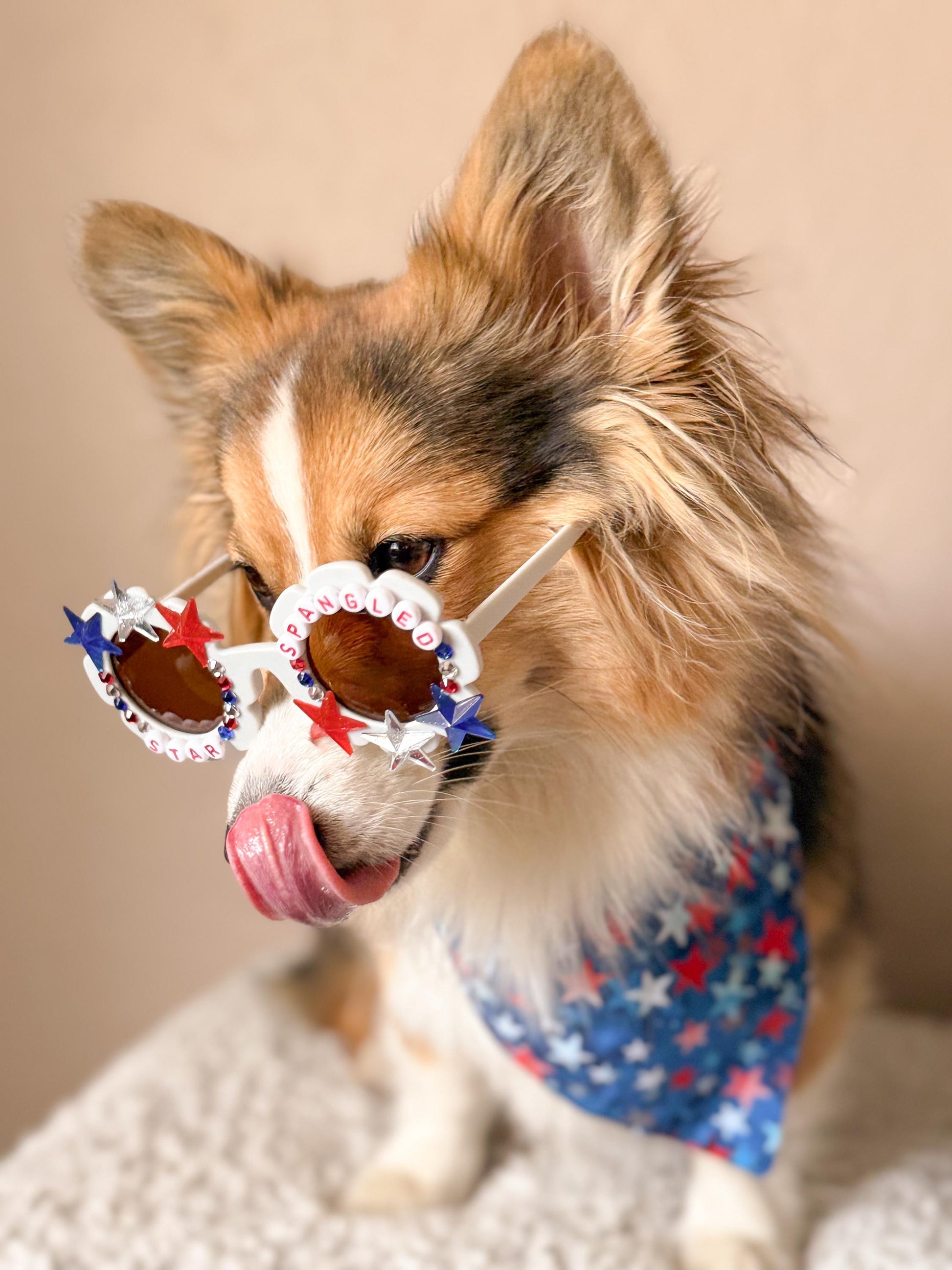 Star Spangled Pup Dog Sunglasses – Patriotic 4th of July Dog Shades