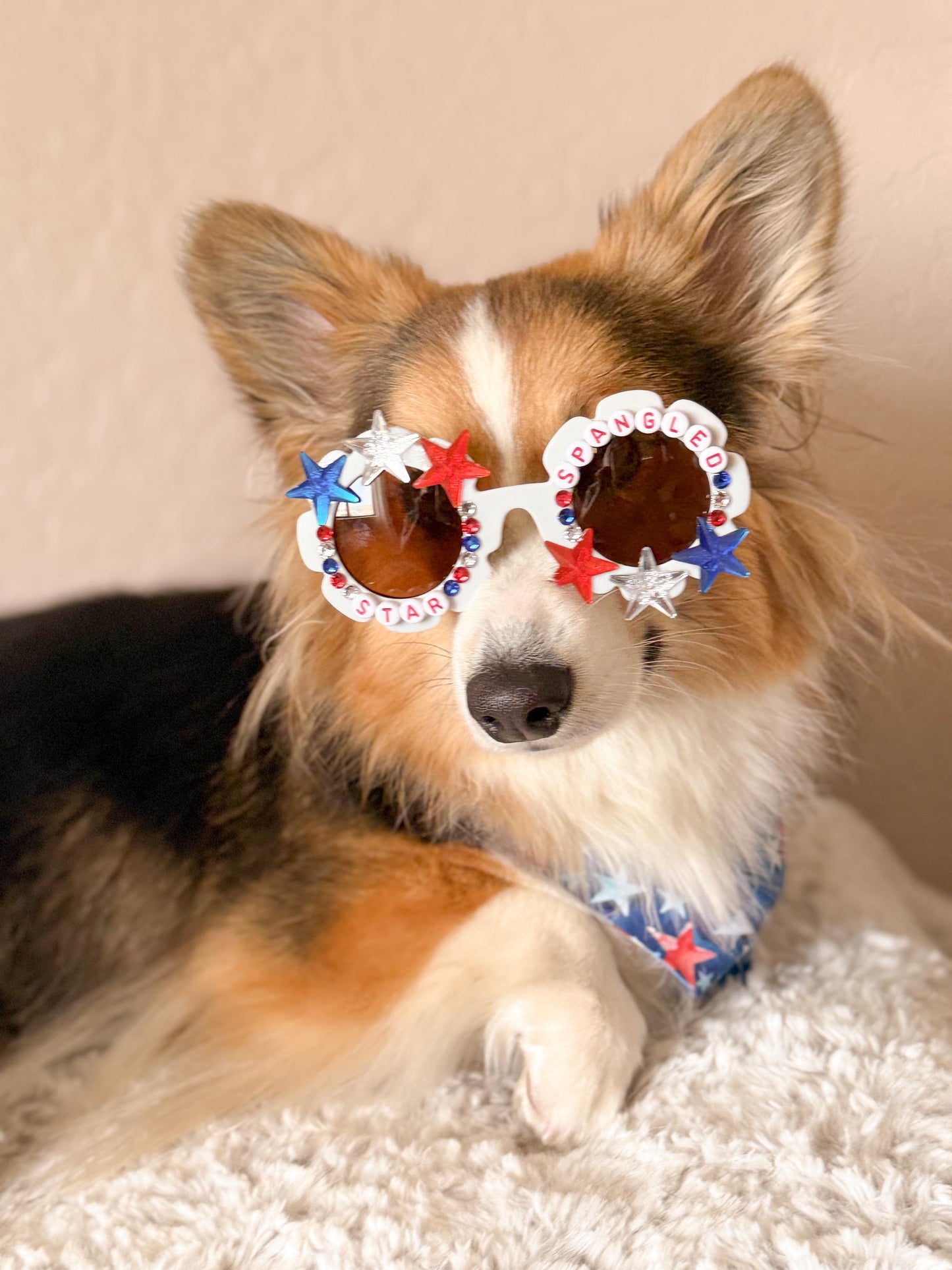 Star Spangled Pup Dog Sunglasses – Patriotic 4th of July Dog Shades