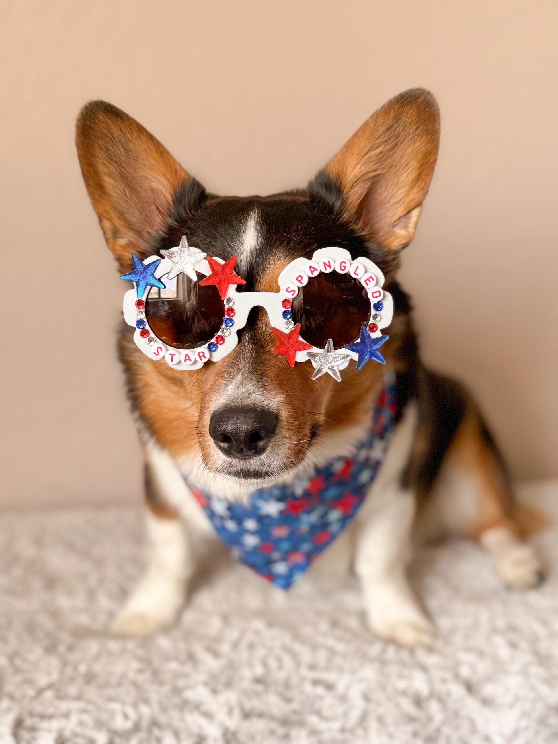 Star Spangled Pup Dog Sunglasses – Patriotic 4th of July Dog Shades