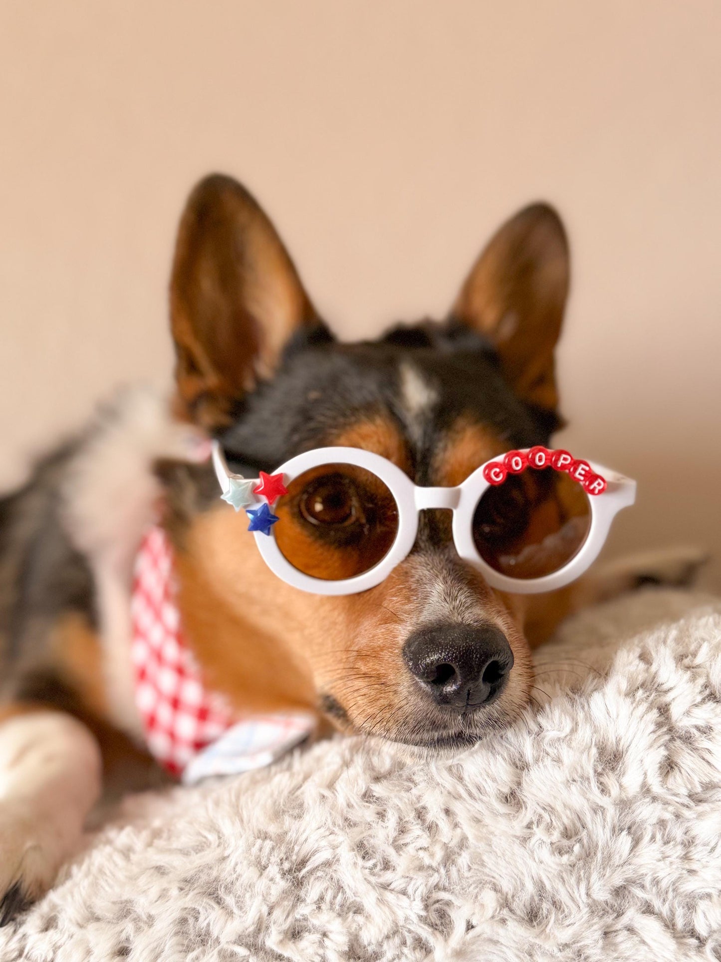Star Spangled Shades – Custom Name Edition