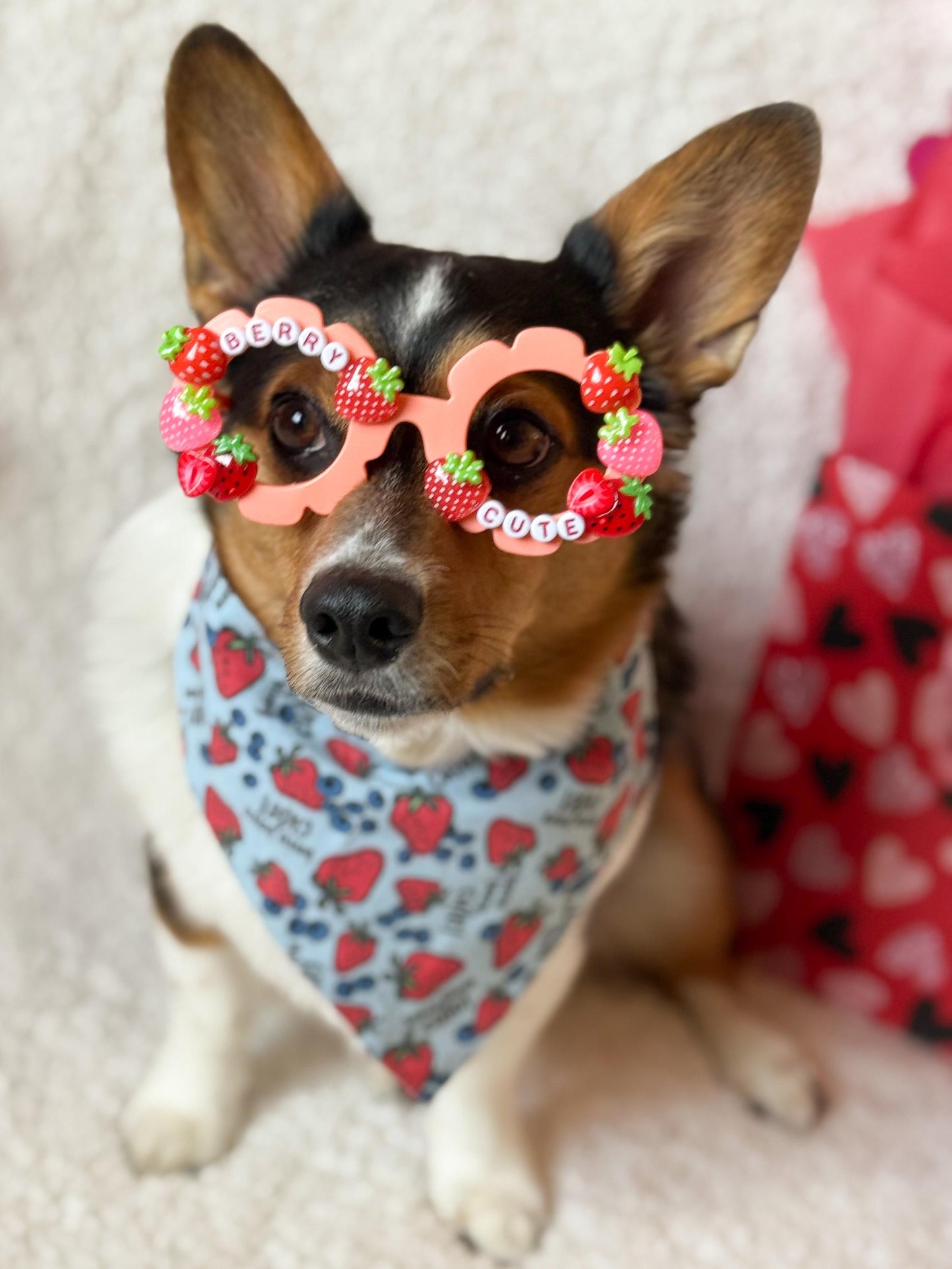 Strawberry Pet Sunglasses – Fun Dog Sunnies