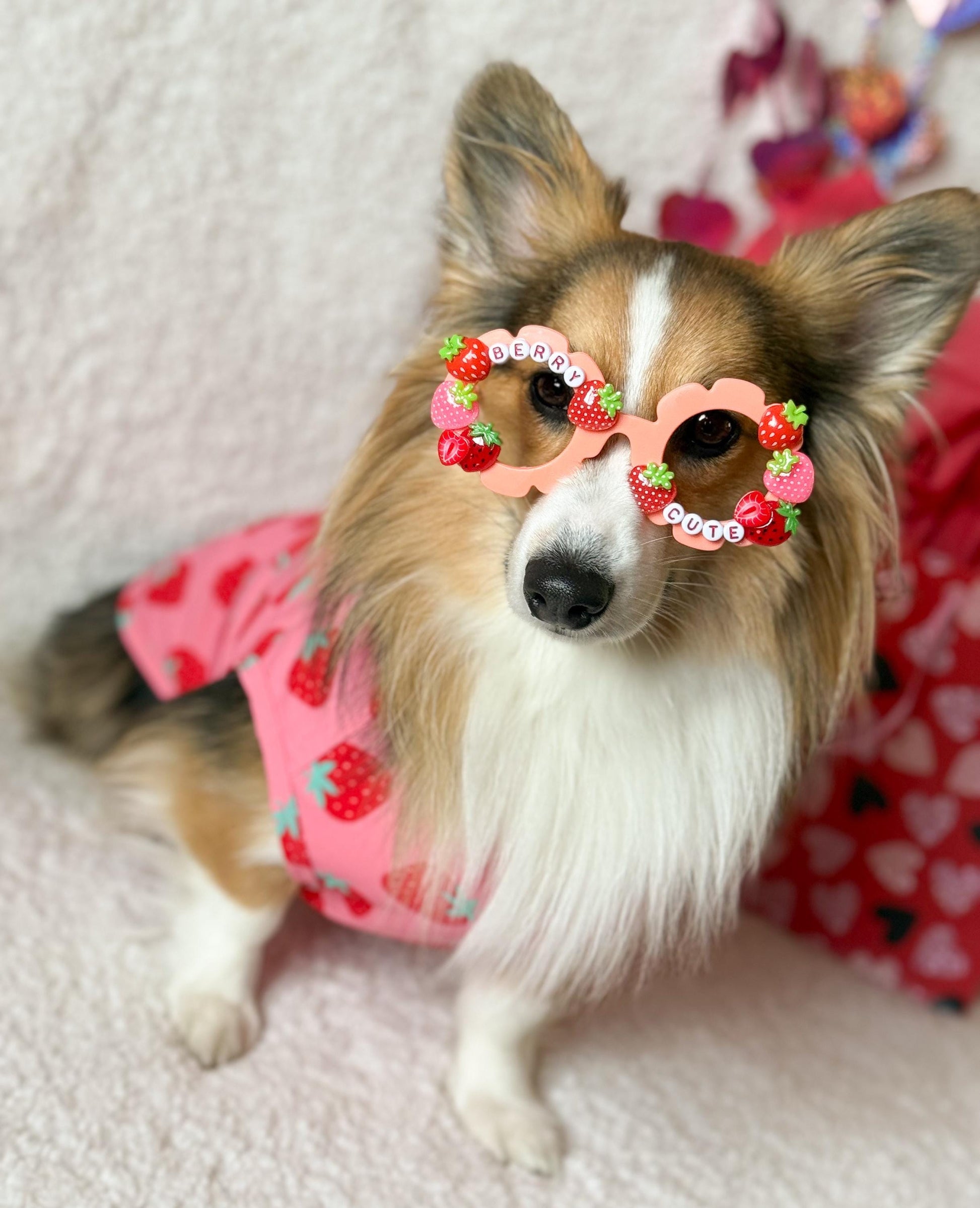 Strawberry Pet Sunglasses – Fun Dog Sunnies