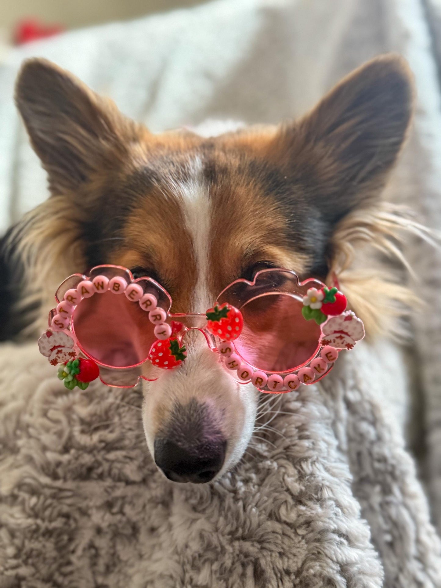 Strawberry Shortcake Sunglasses