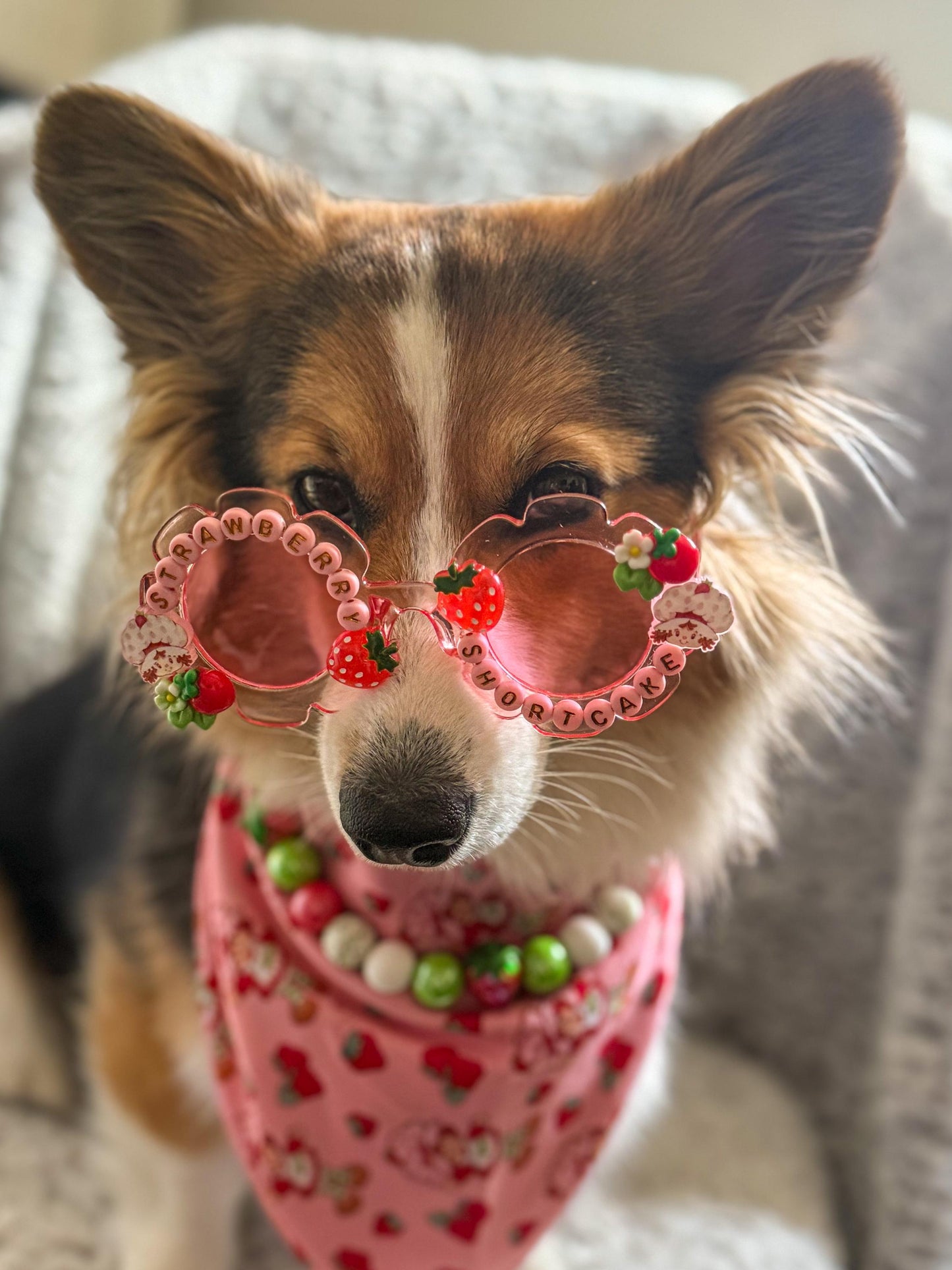 Strawberry Shortcake Sunglasses