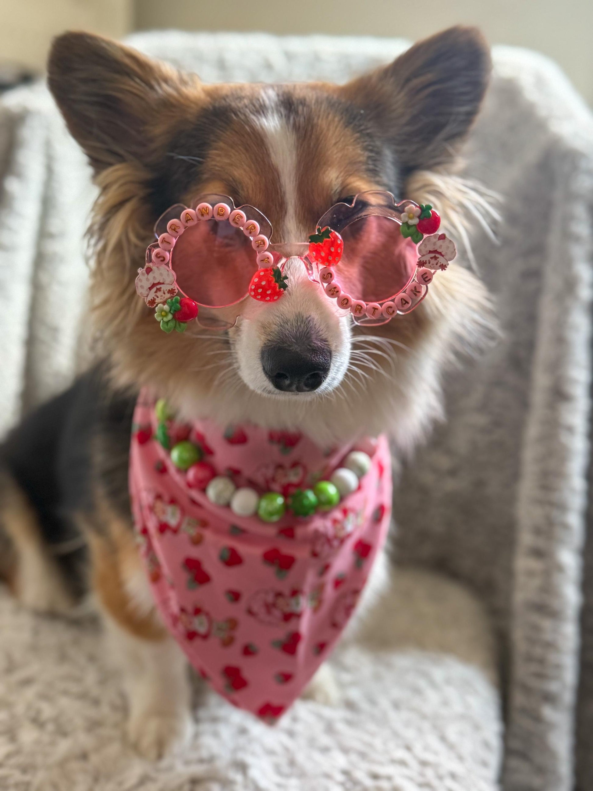 Strawberry Shortcake Sunglasses