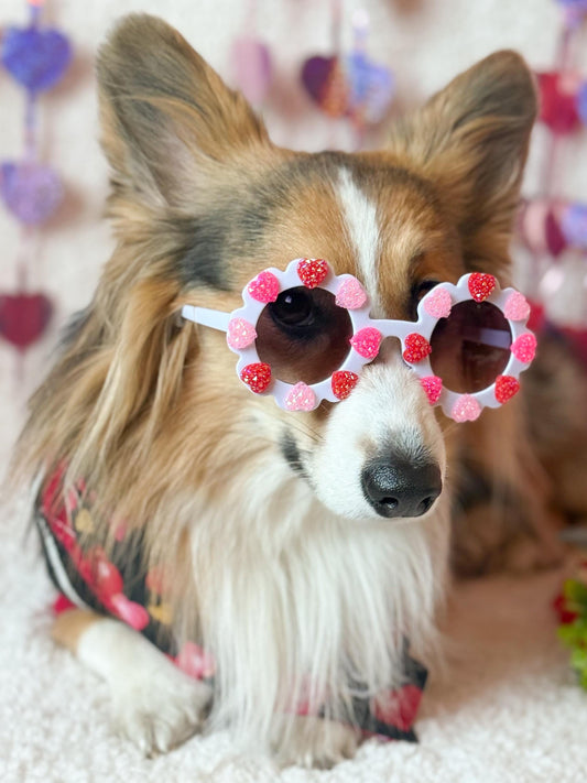 Sugar Heart Pet Sunglasses