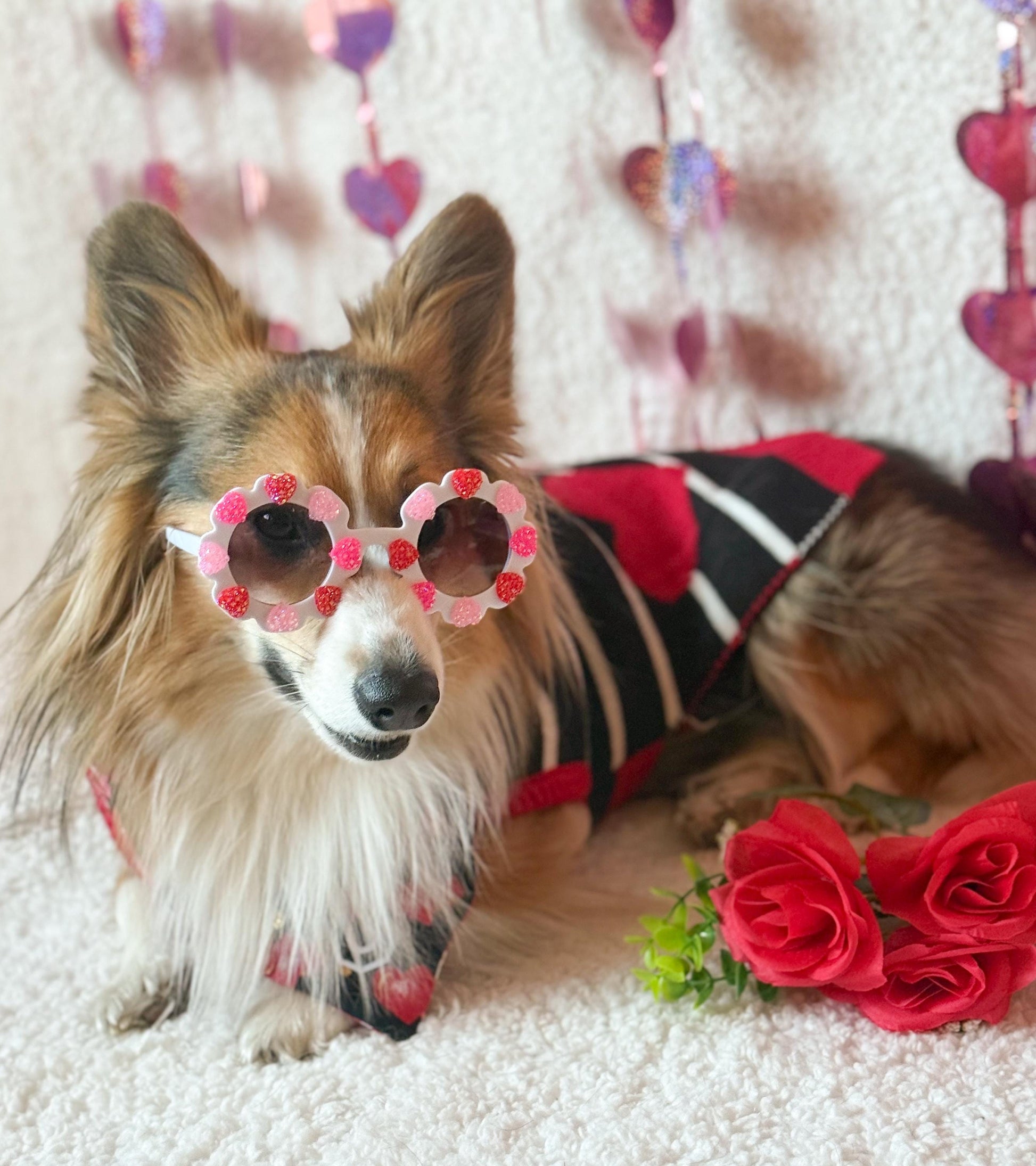 Sugar Heart Pet Sunglasses