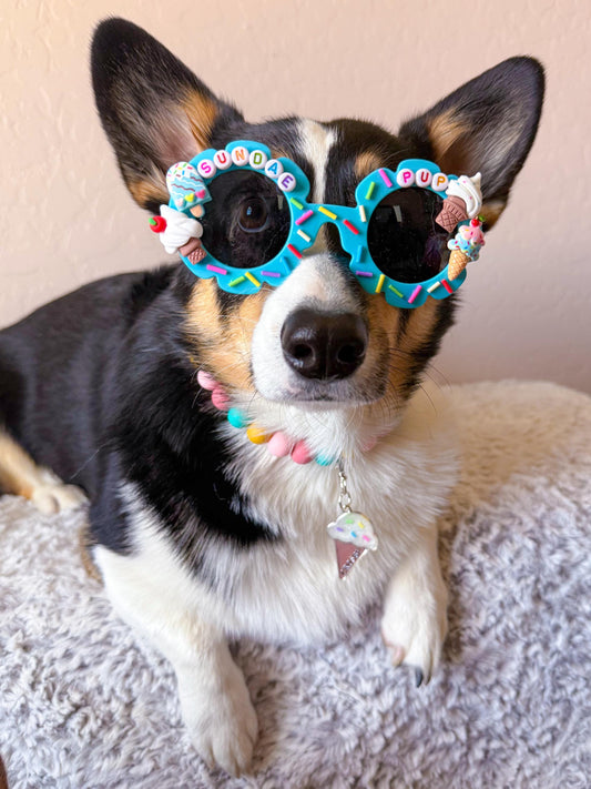 Sundae Pup Sunglasses