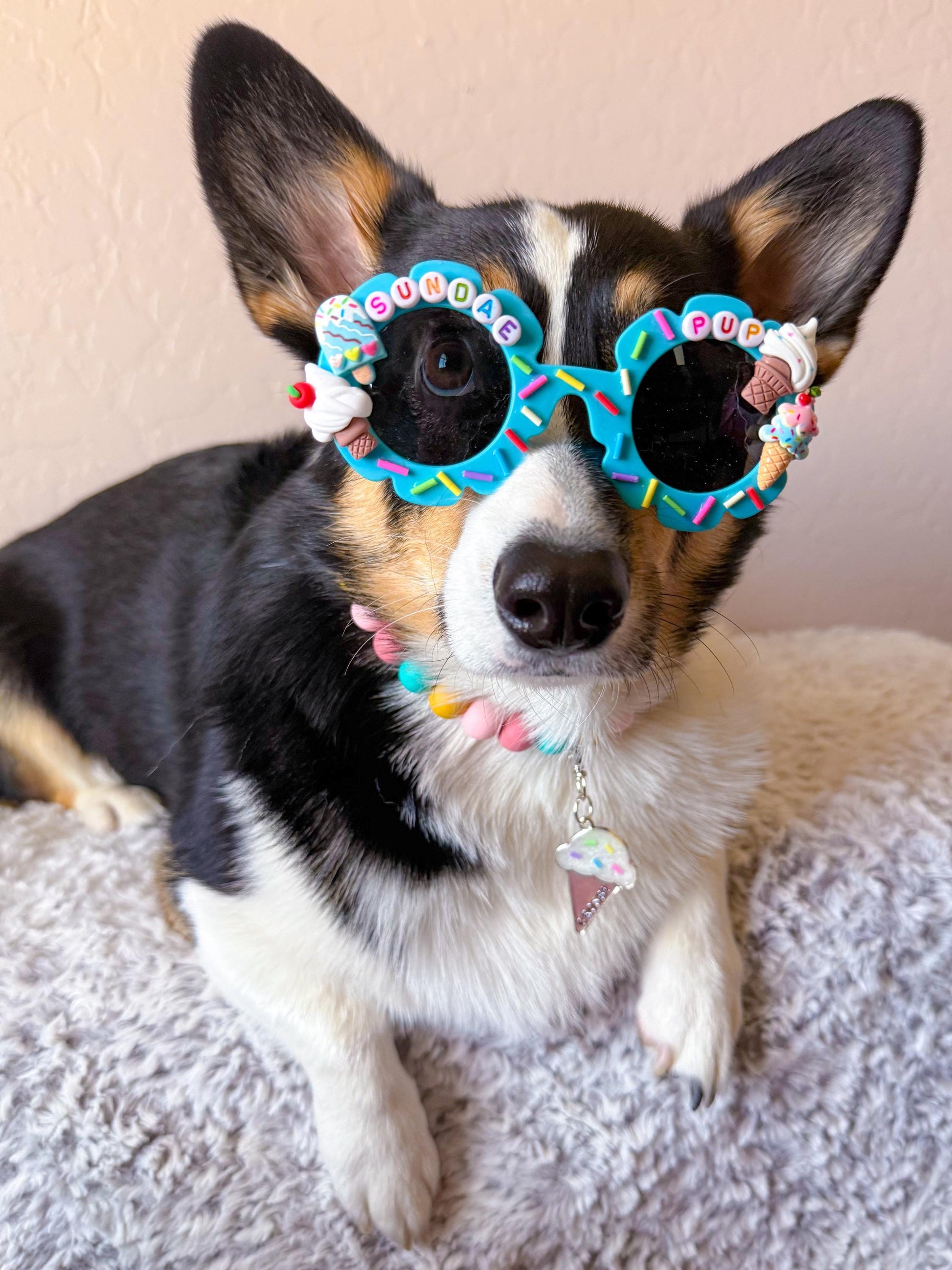 Sundae Pup Sunglasses