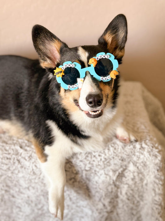 Suns Out Buns Out Sunglasses
