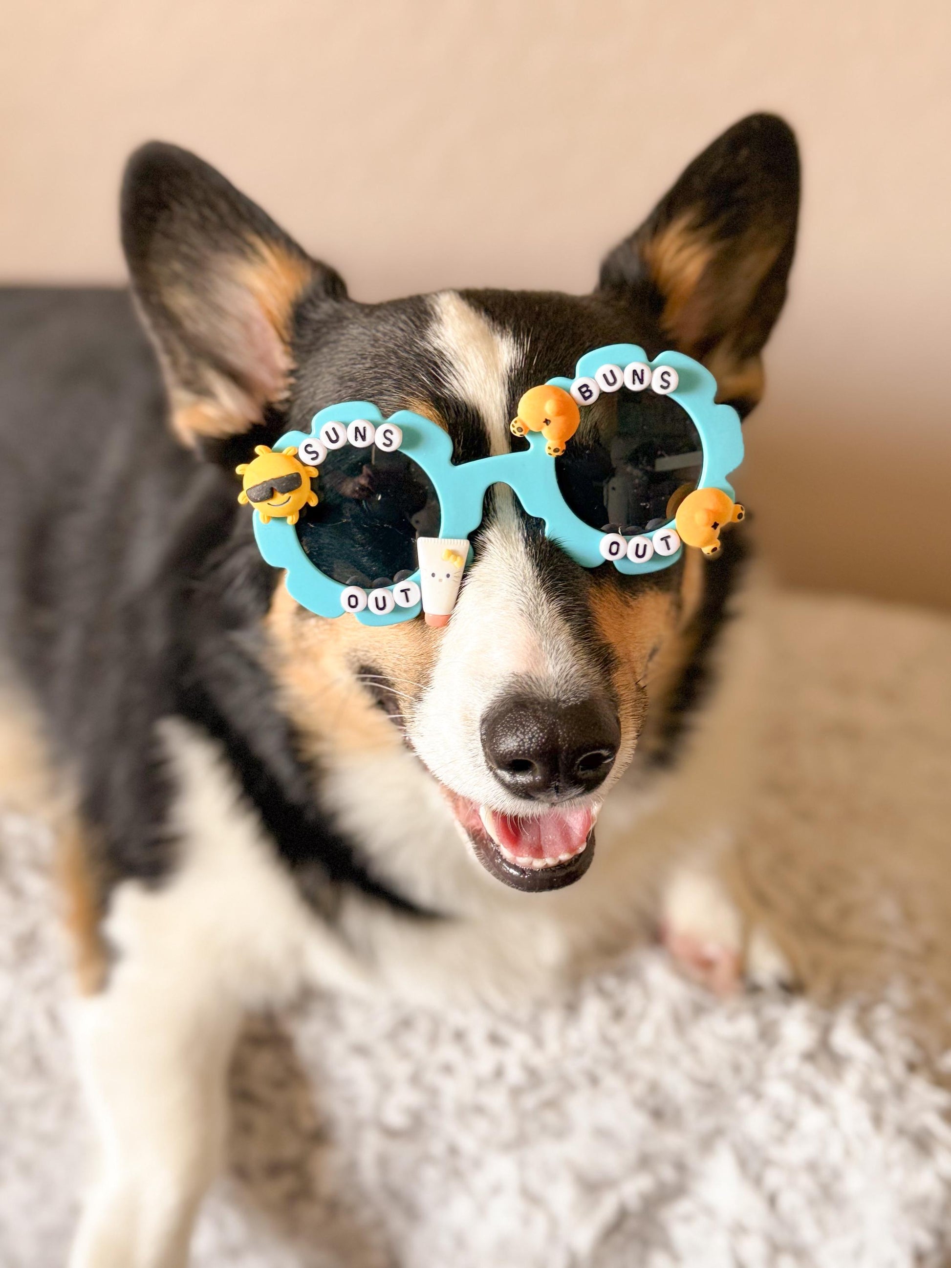 Suns Out Buns Out Sunglasses