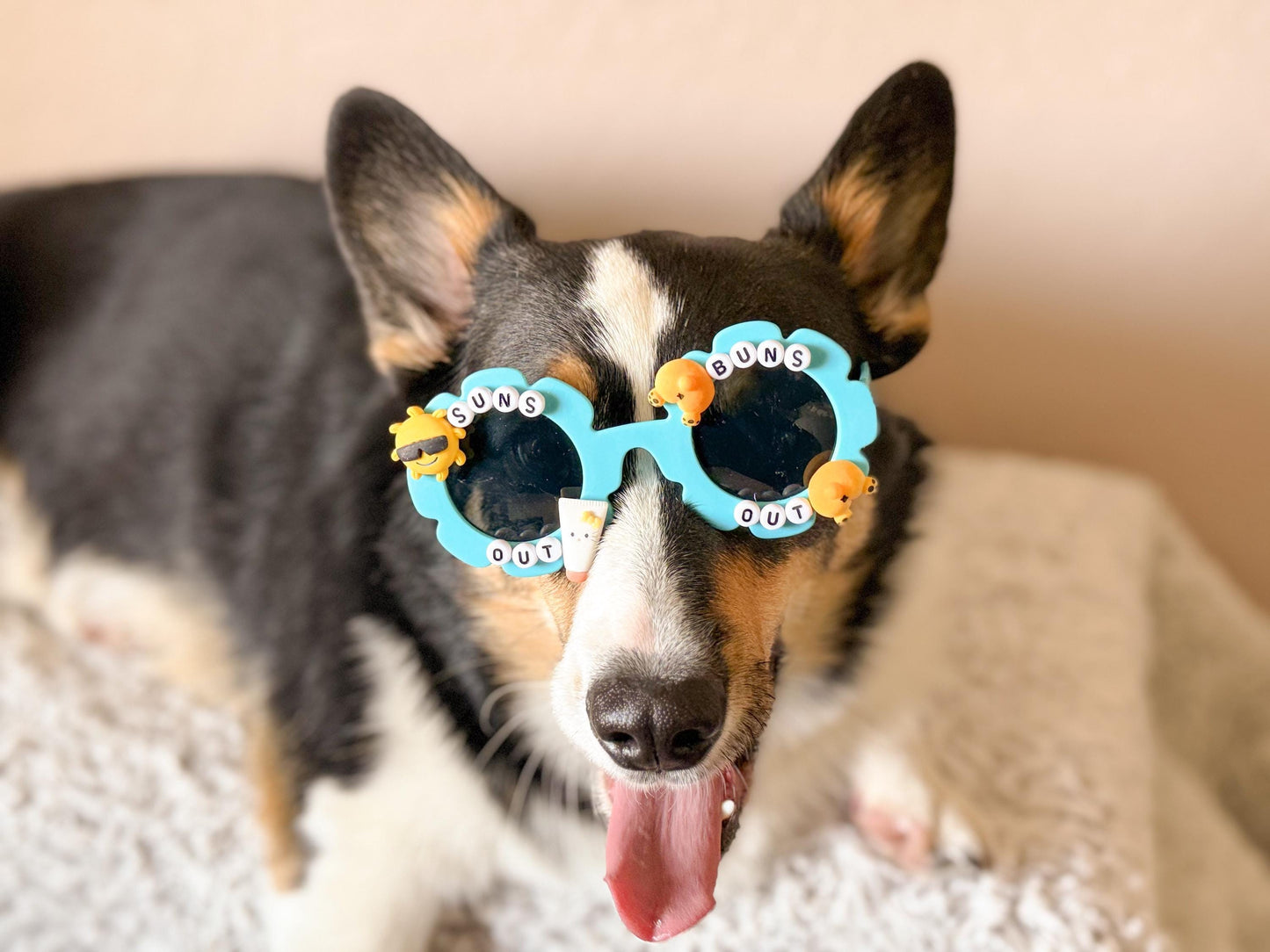 Suns Out Buns Out Sunglasses