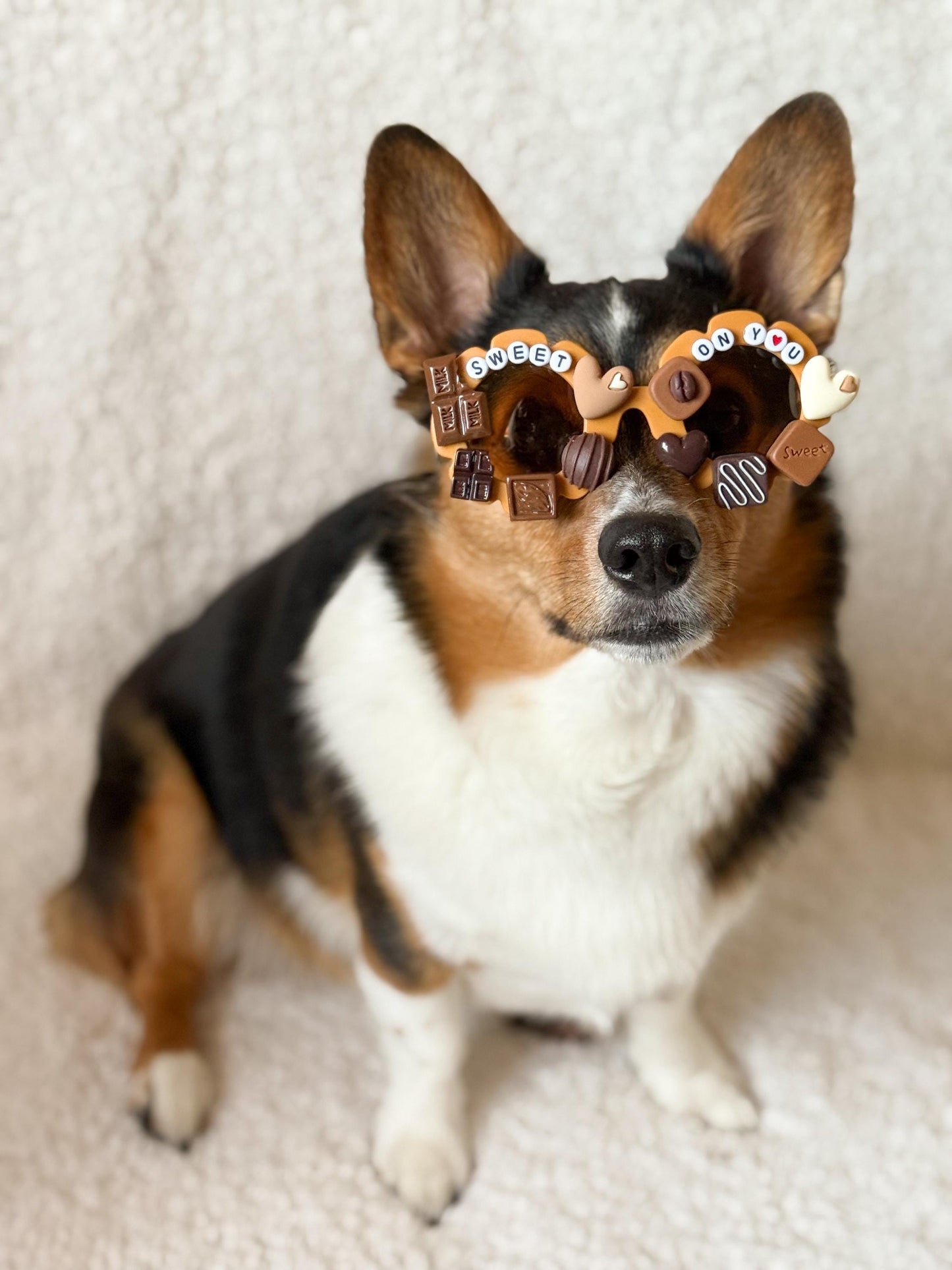 Sweet On You Pet Sunglasses