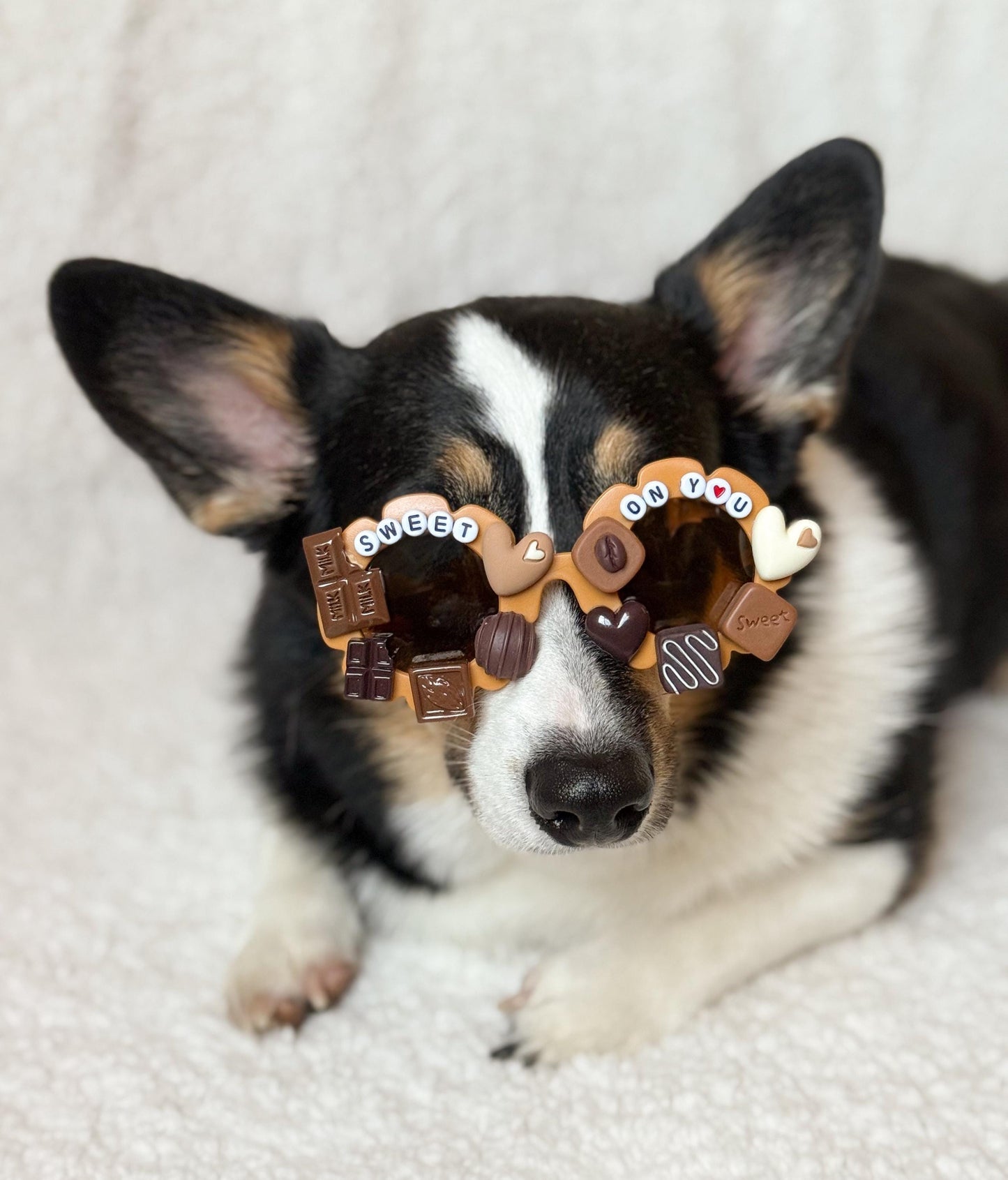 Sweet On You Pet Sunglasses