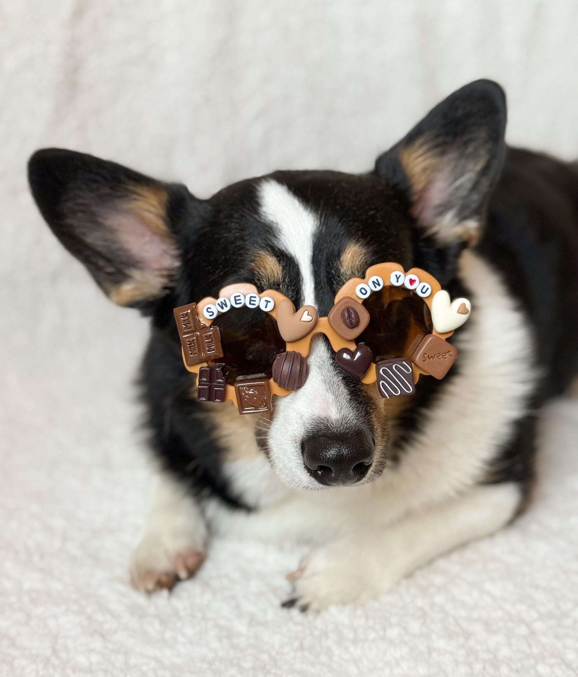 Sweet On You Pet Sunglasses