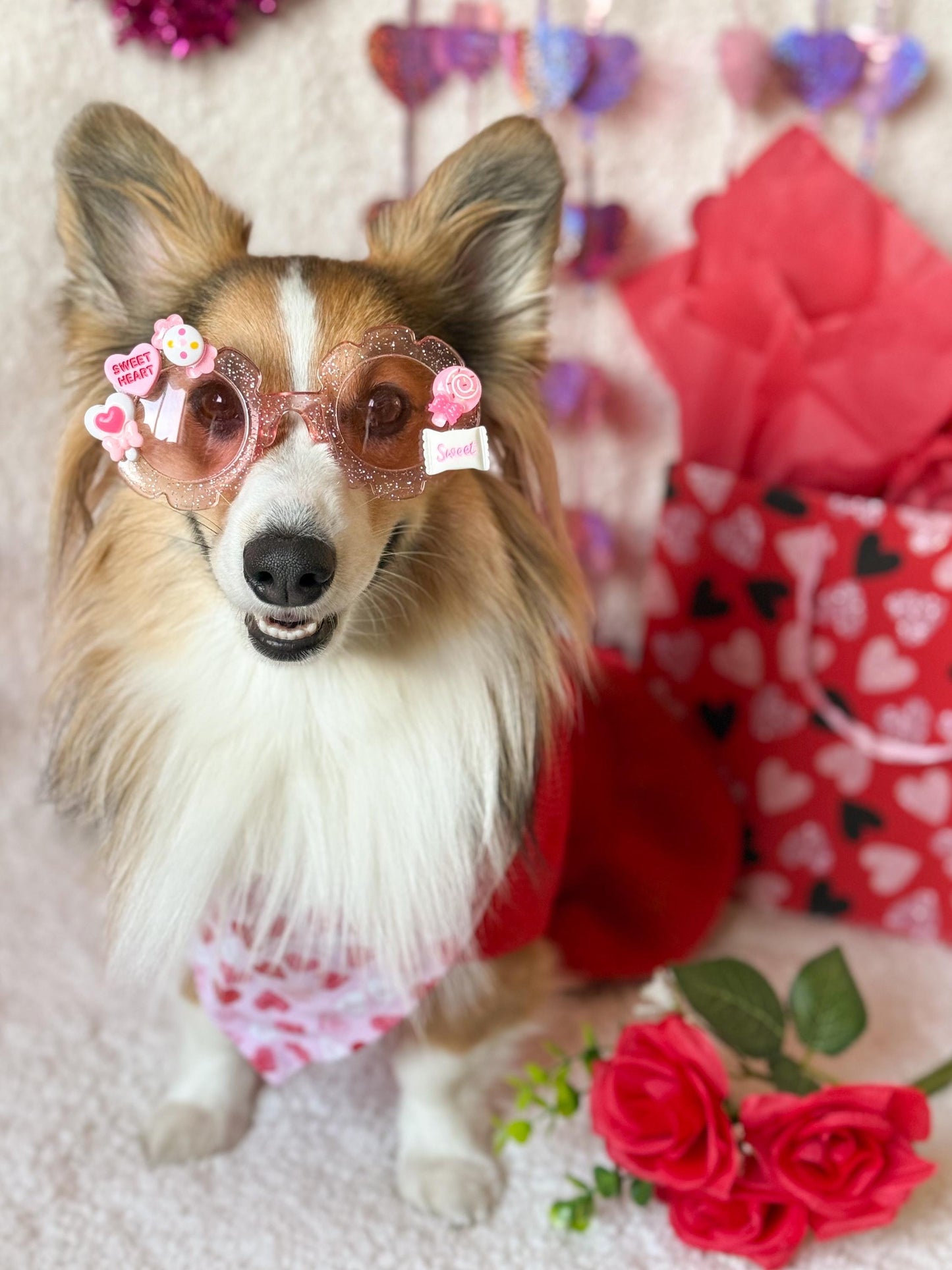 Sweetheart Sparkle Valentine’s Day Pet Sunglasses