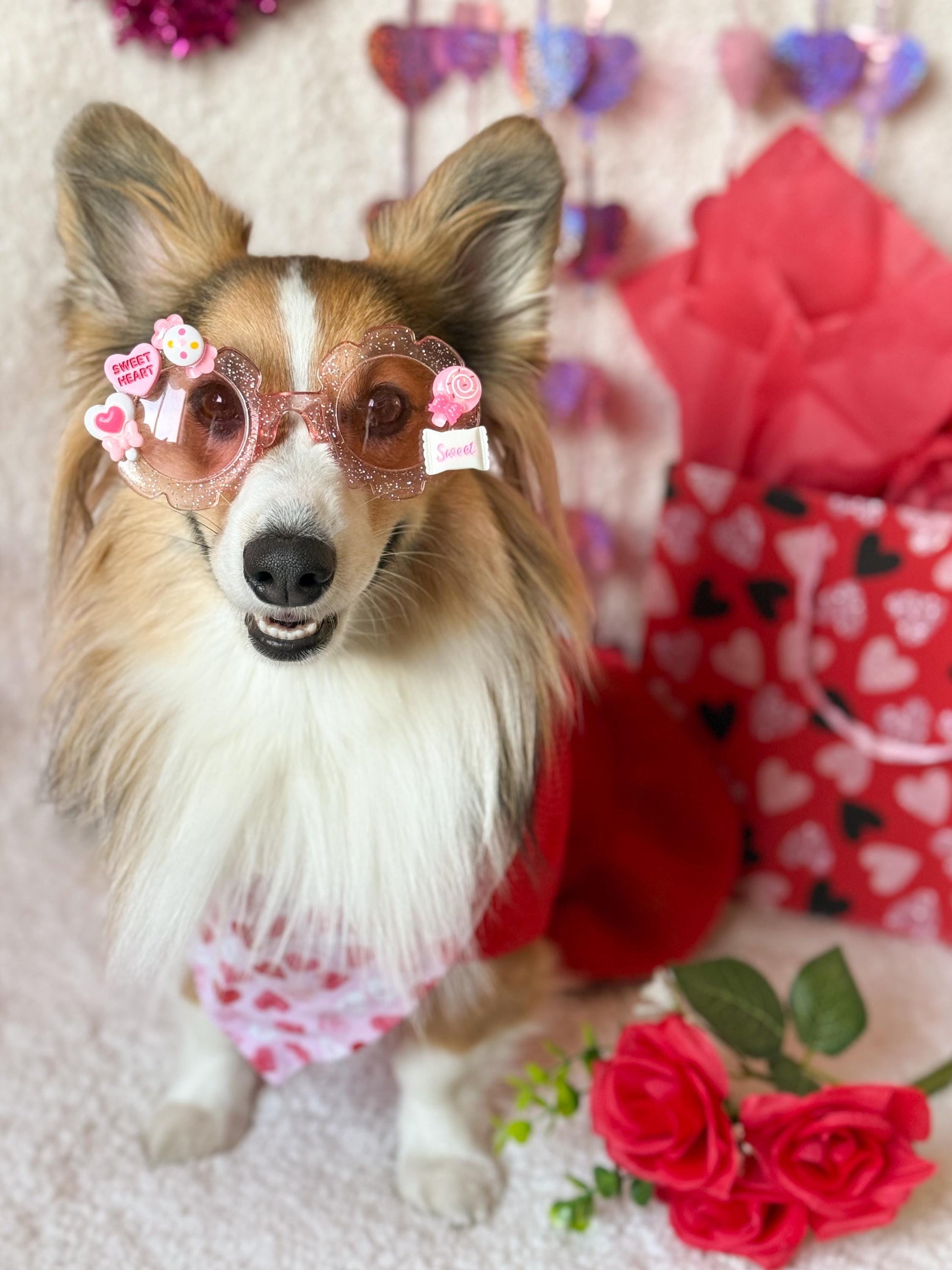 Sweetheart Sparkle Valentine’s Day Pet Sunglasses